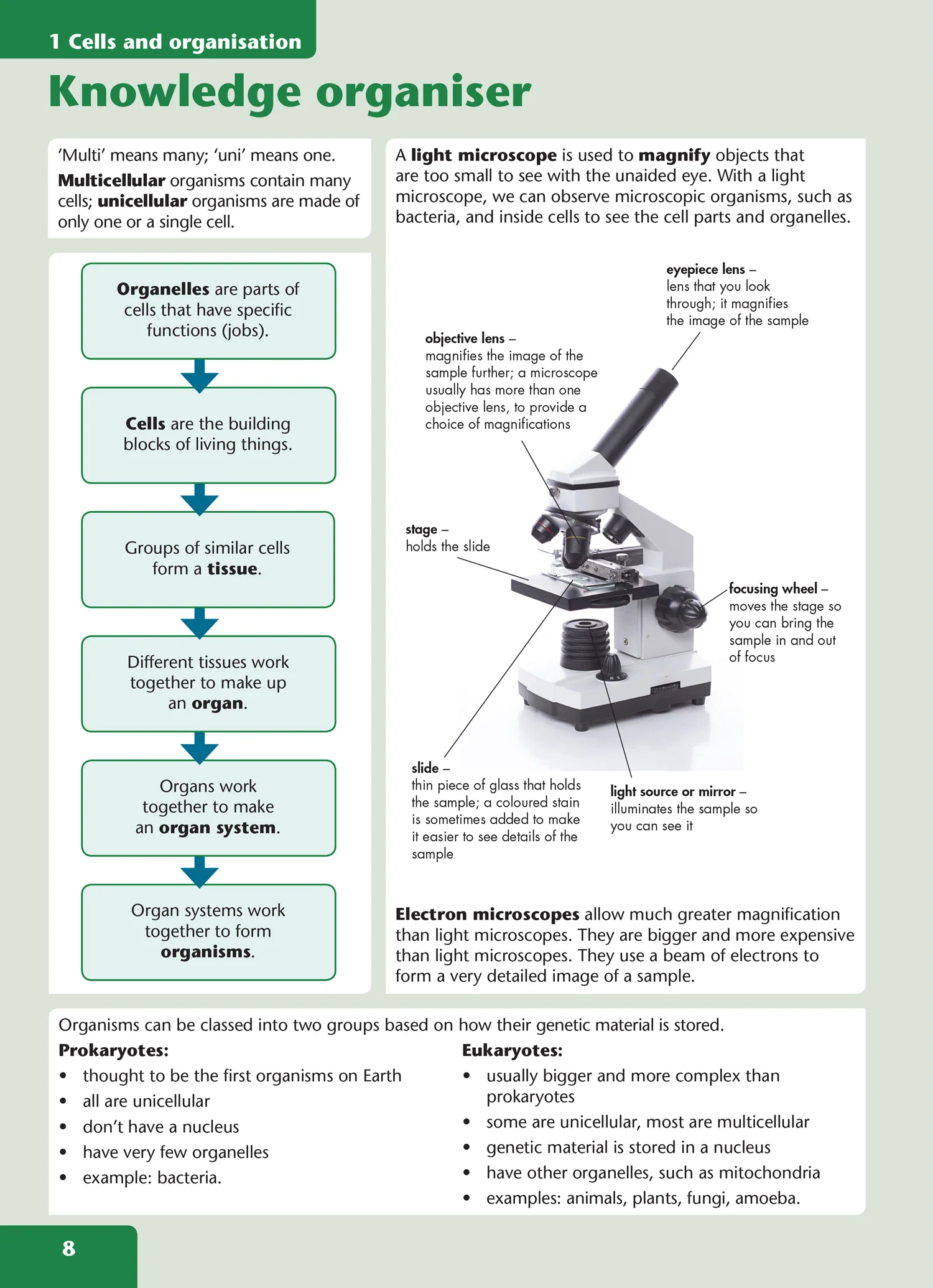 KS3 Science Now - KS3 Science Now Learn and Practice Book