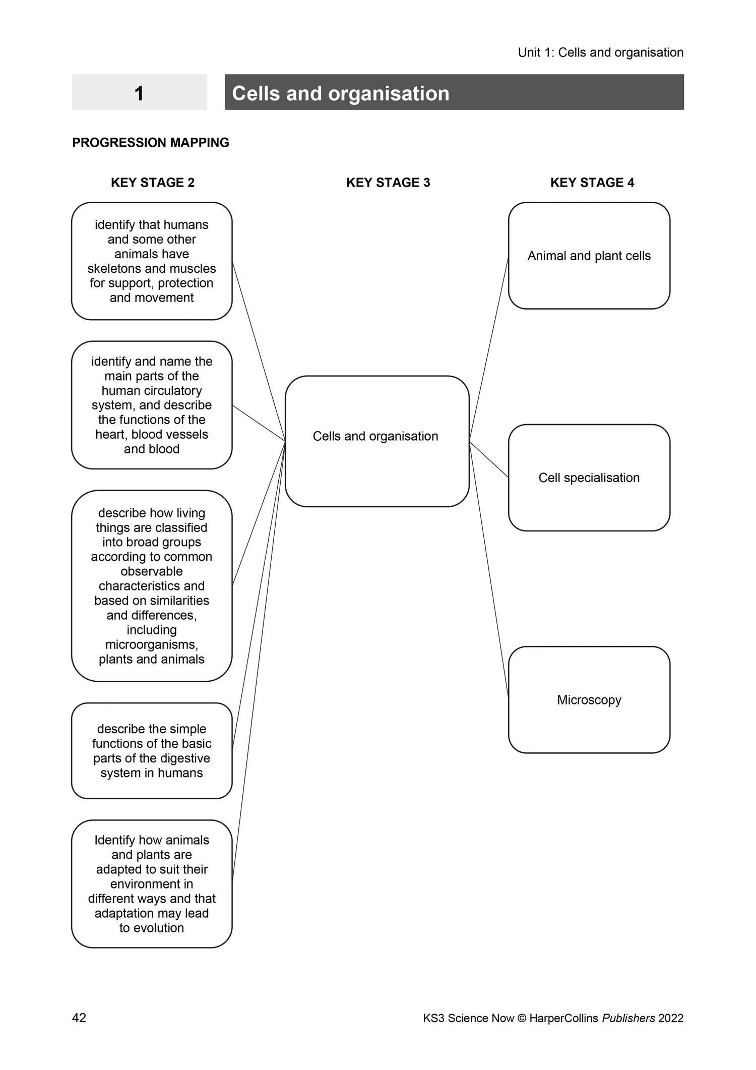KS3 Science Now - KS3 Science Now Teacher Pack - Image 3