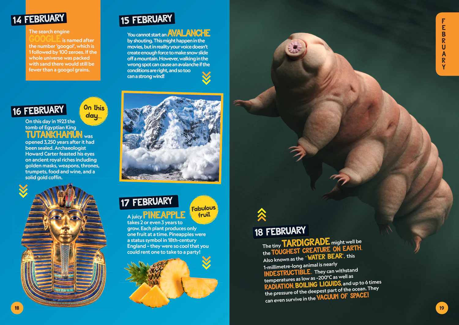 National Geographic Kids - A Fact for Every Day of the Year: 365 facts to make you say WOW! - Image 4