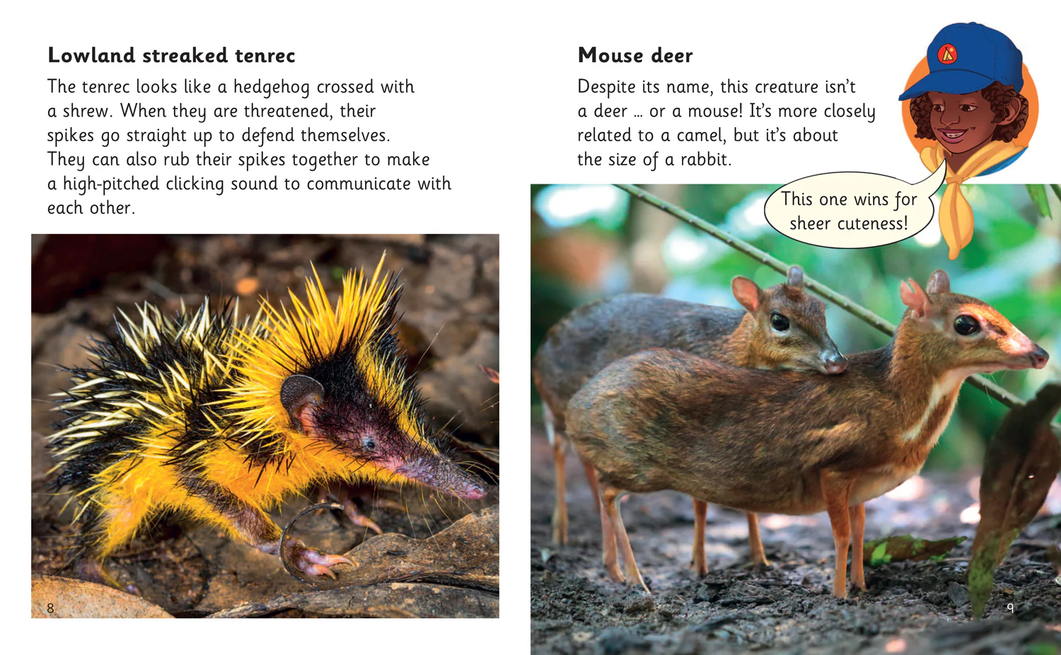 Big Cat Phonics for Little Wandle Letters and Sounds Revised - Rare and Unusual Creatures: Phase 5 Set 5 Stretch and challenge - Image 3