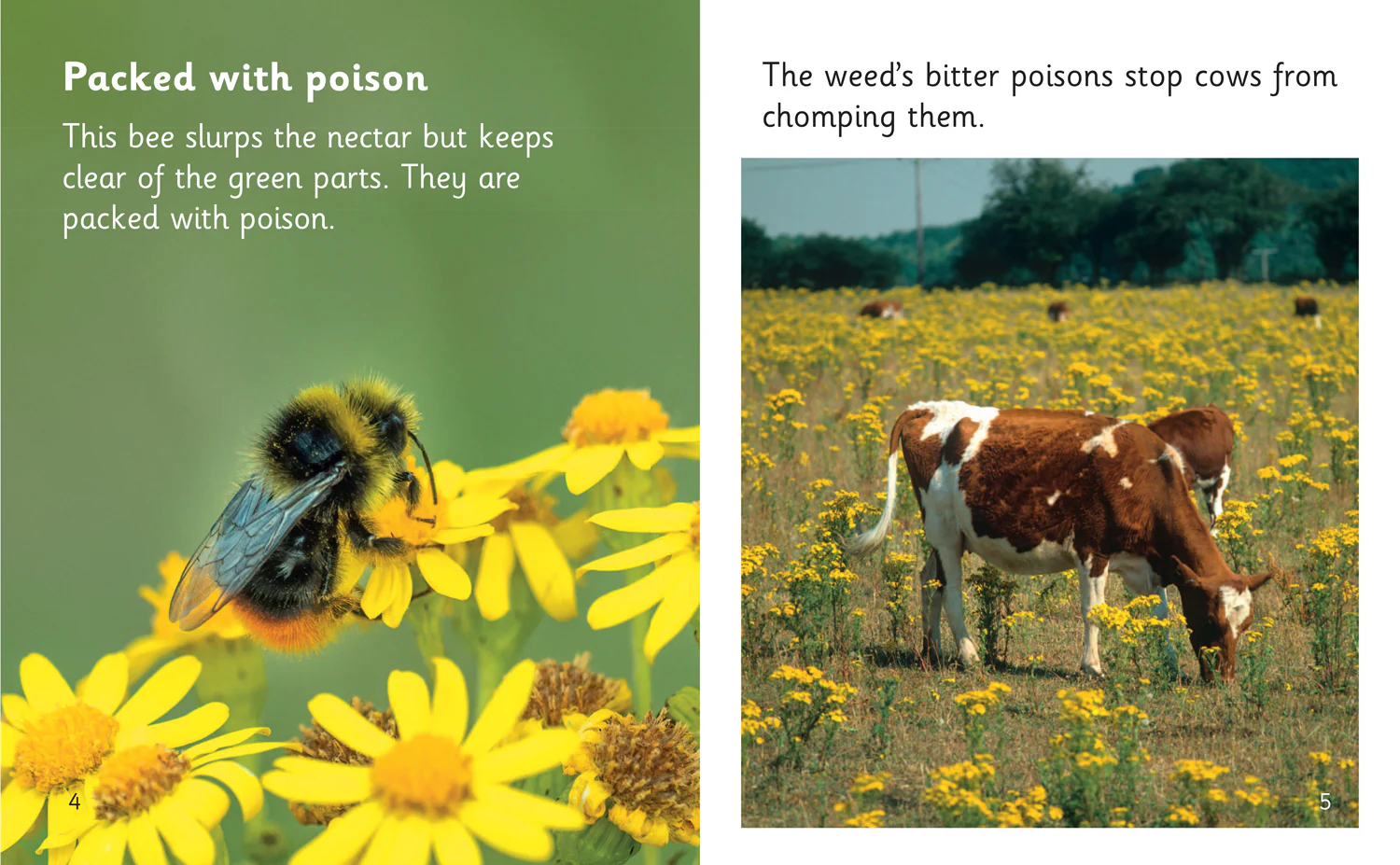 Big Cat Phonics for Little Wandle Letters and Sounds Revised - Green Alert!: Phase 4 Set 2 Stretch and challenge - Image 2