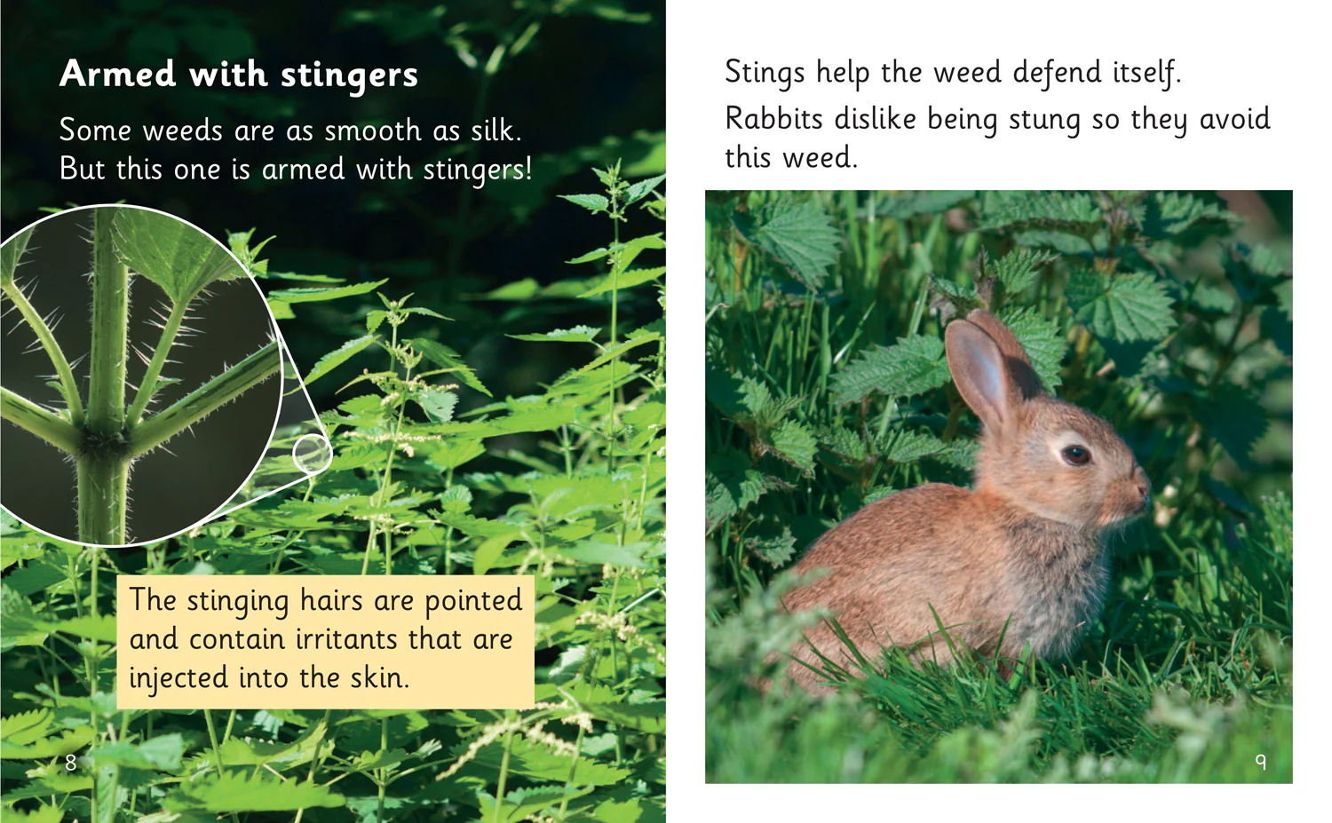Big Cat Phonics for Little Wandle Letters and Sounds Revised - Green Alert!: Phase 4 Set 2 Stretch and challenge - Image 3