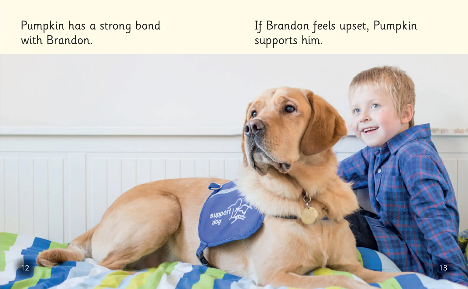 Big Cat Phonics for Little Wandle Letters and Sounds Revised - Dogs that Help: Phase 4 Set 1 - Image 3