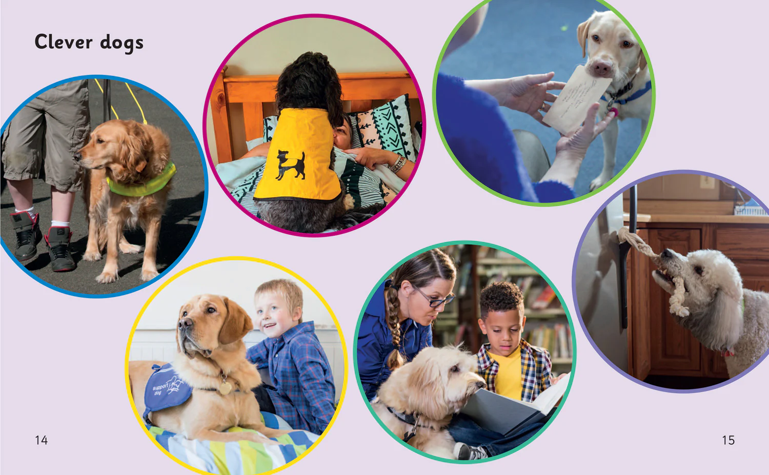 Big Cat Phonics for Little Wandle Letters and Sounds Revised - Dogs that Help: Phase 4 Set 1 - Image 4