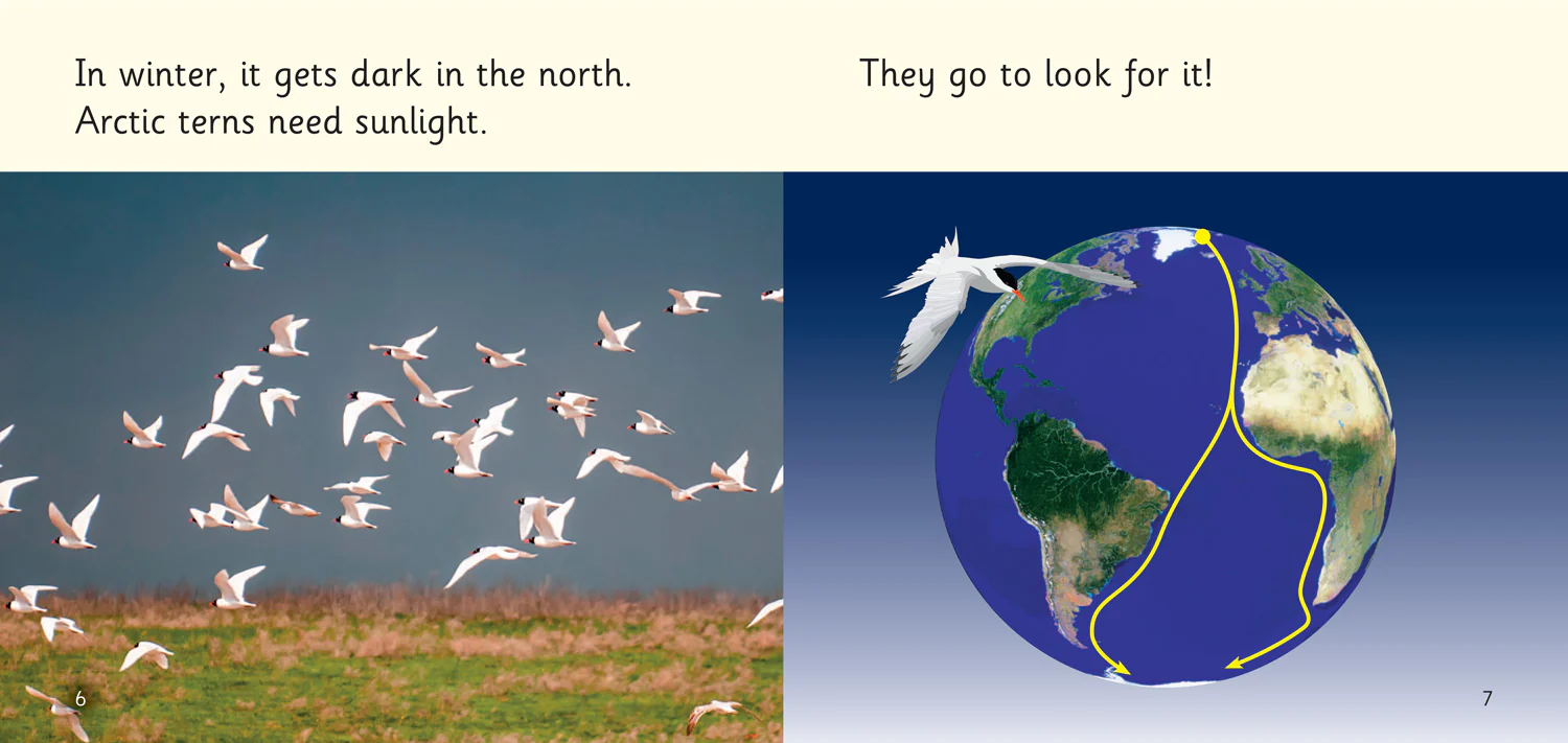 Big Cat Phonics for Little Wandle Letters and Sounds Revised - Terrific Arctic Terns: Phase 3 Set 2