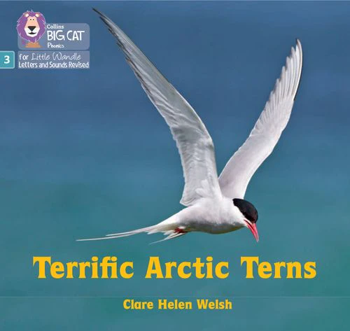 Big Cat Phonics for Little Wandle Letters and Sounds Revised - Terrific Arctic Terns: Phase 3 Set 2 - Image 4
