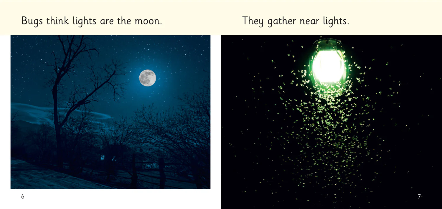Big Cat Phonics for Little Wandle Letters and Sounds Revised - Lights at Night: Phase 3 Set 2 - Image 3