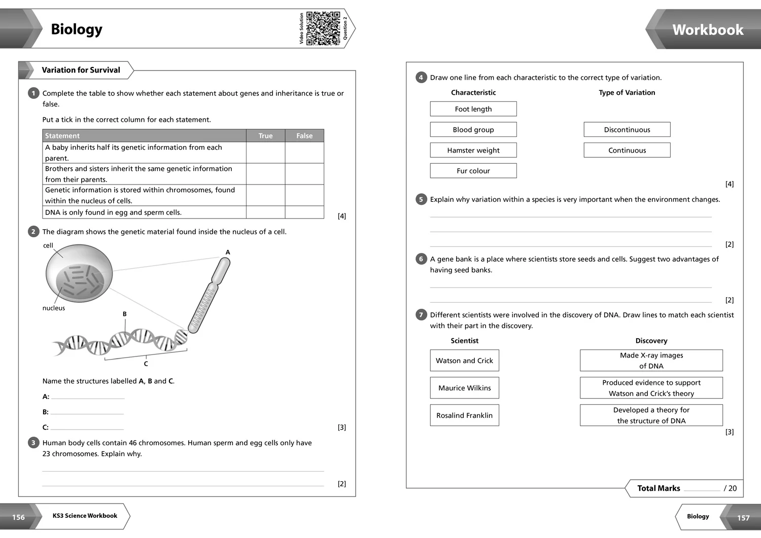 Collins KS3 Revision - KS3 Science All-in-One Complete Revision and Practice: Ideal for Years 7, 8 and 9 - Image 8