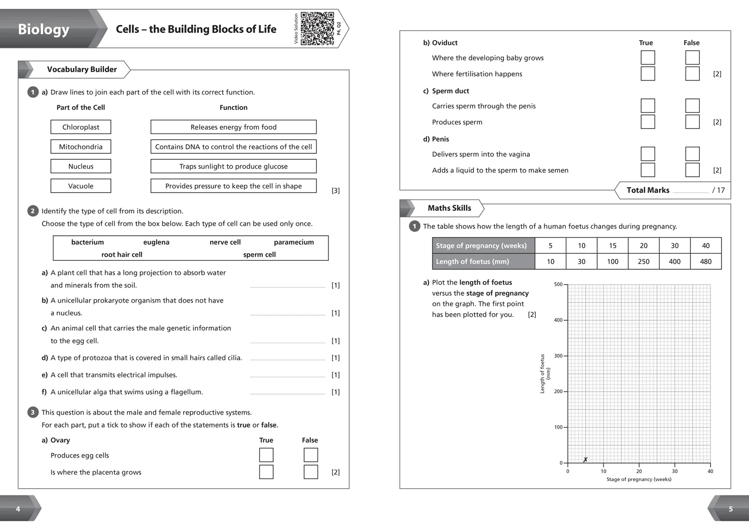 Collins KS3 Revision - KS3 Science Year 7 Workbook: Ideal for Year 7 - Image 2