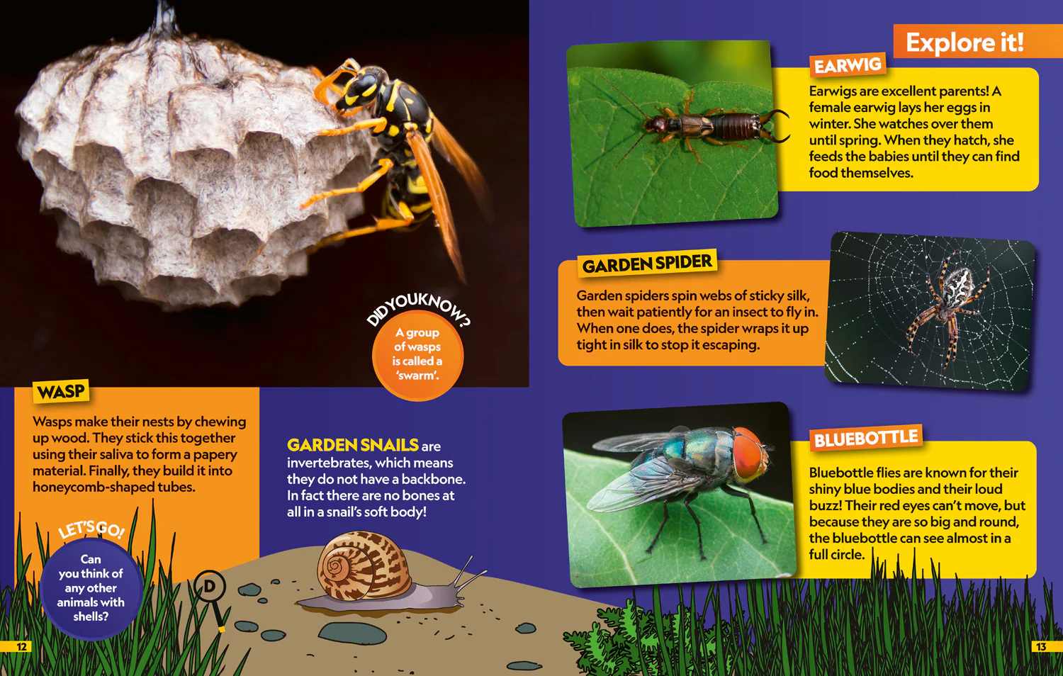 National Geographic Kids - Insects Find it! Explore it!: More than 250 things to find, facts and photos! - Image 4