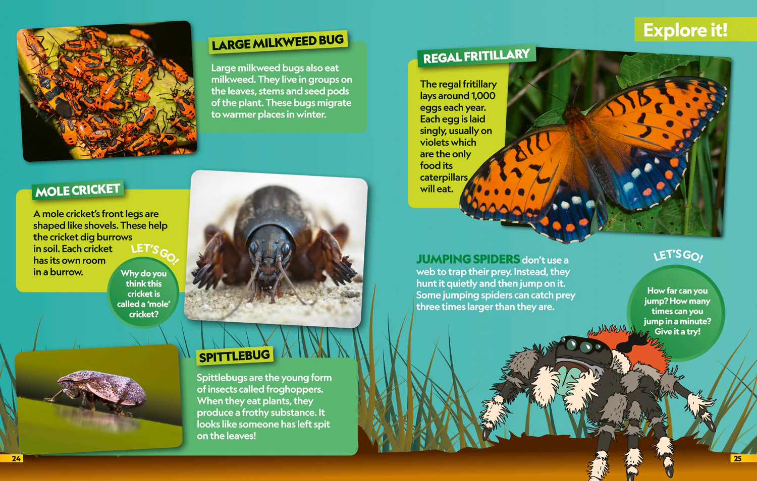 National Geographic Kids - Insects Find it! Explore it!: More than 250 things to find, facts and photos! - Image 7