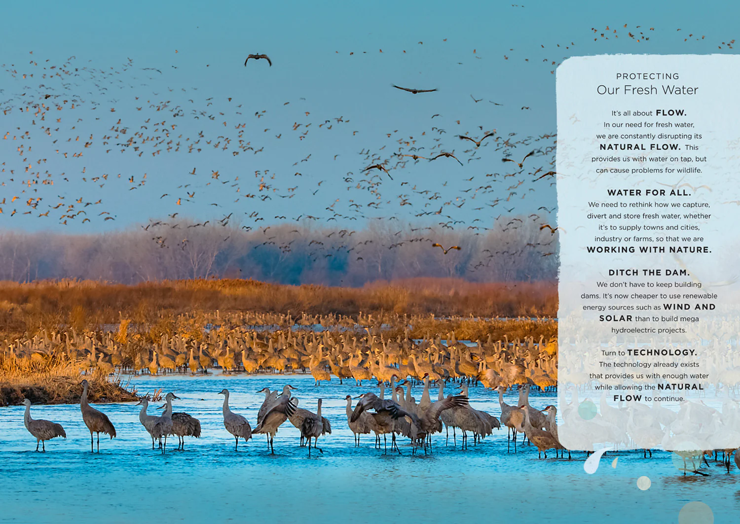 Our Planet: The One Place We All Call Home - Image 11