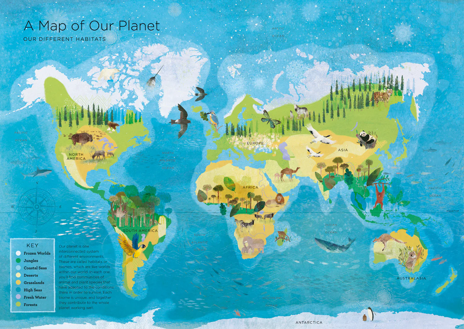 Our Planet: The One Place We All Call Home - Image 6