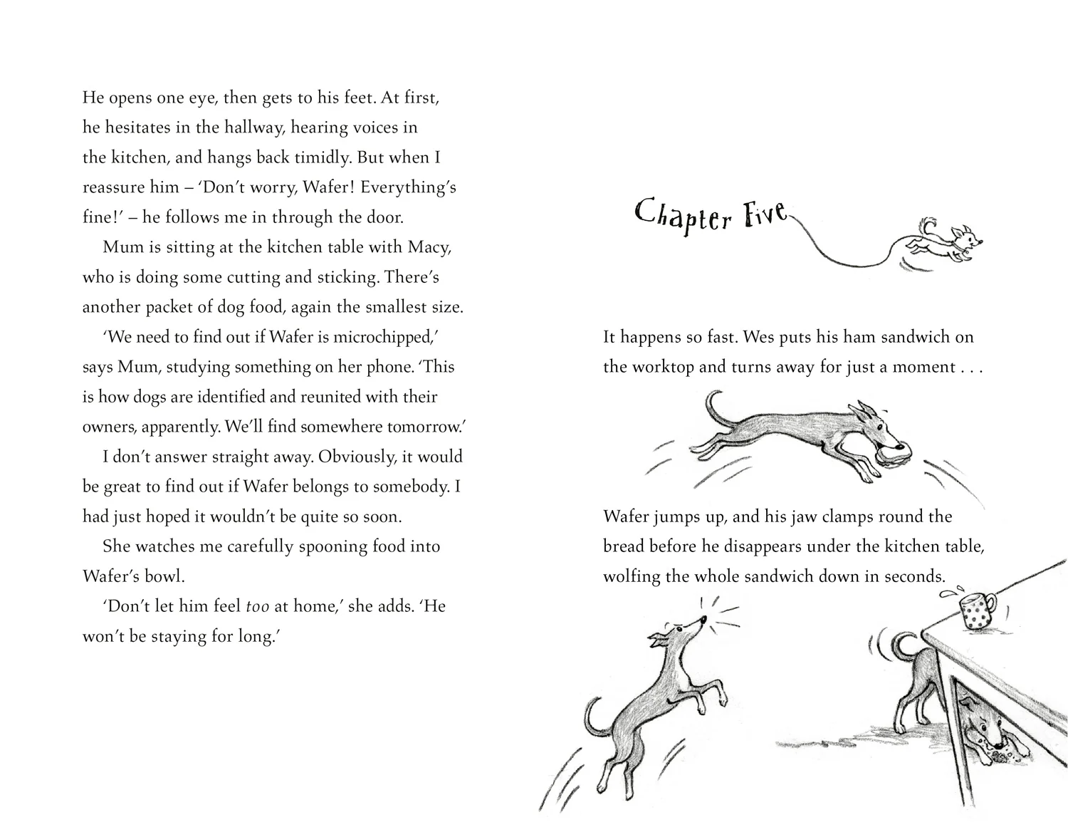 The Dog Squad - The Newshound - Image 3