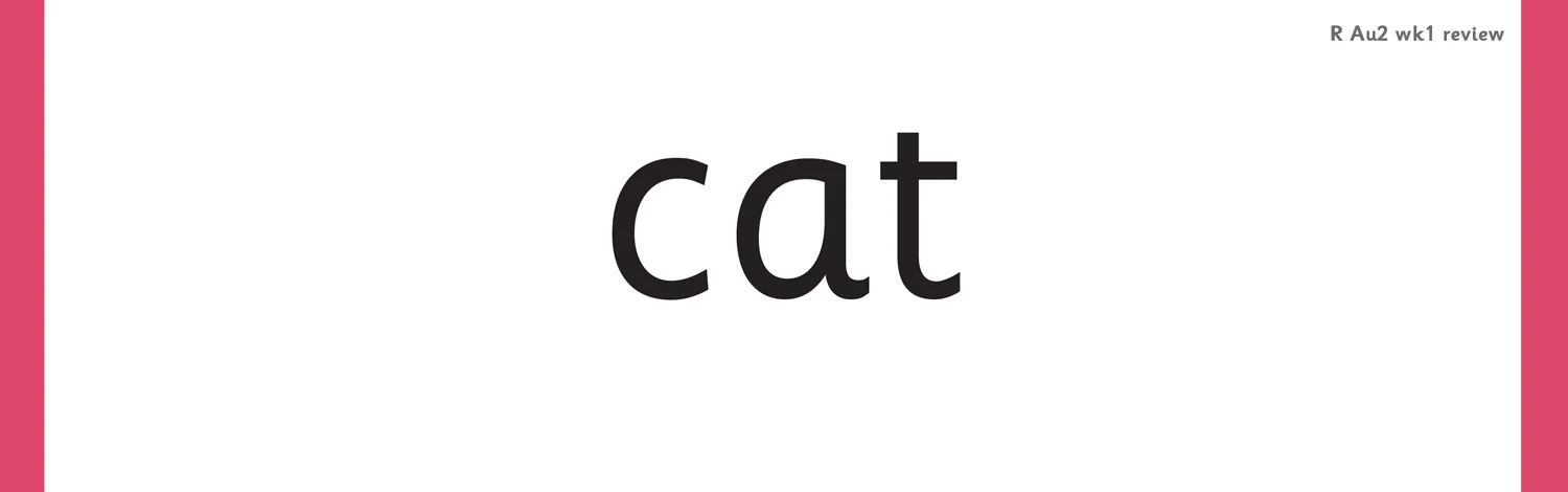 Big Cat Phonics for Little Wandle Letters and Sounds Revised - Review Word Cards for Reception (ready-to-use cards): Phases 2, 3 and 4 - Image 3