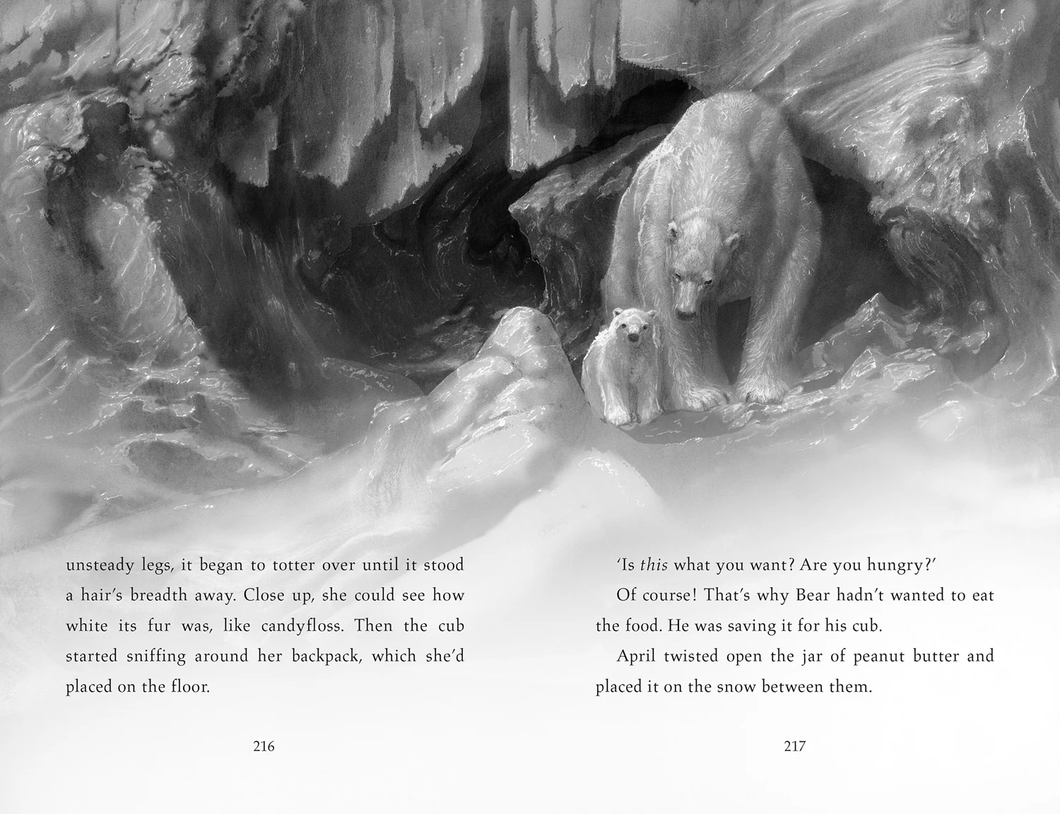 Finding Bear - Image 5