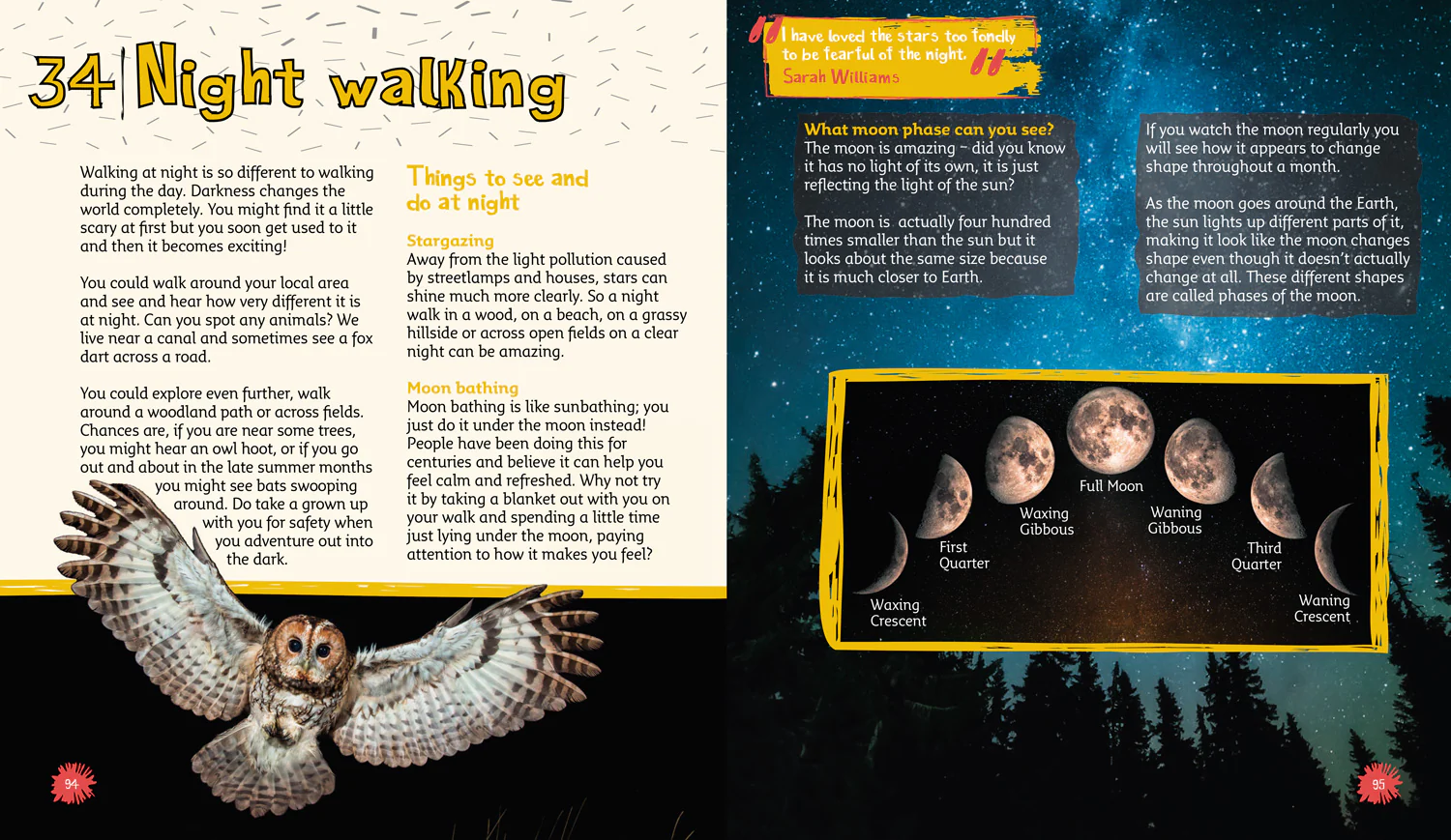A Year of Nature Walks and Games: 52 things to see and do - Image 5