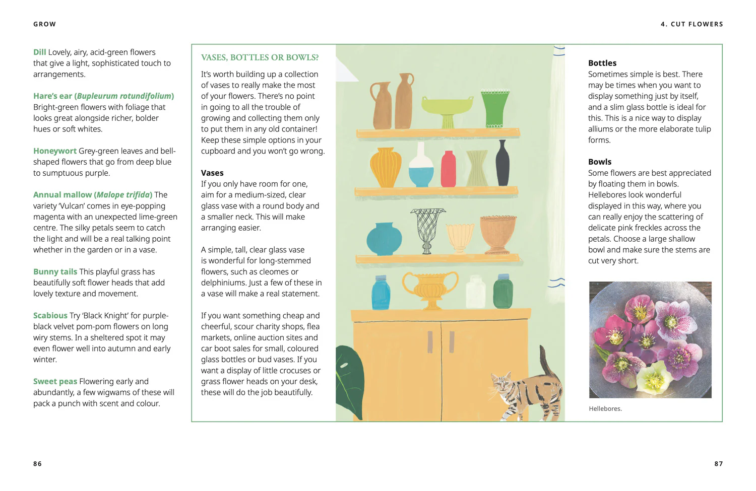 National Trust - GROW: Fill your world with plants - Image 4