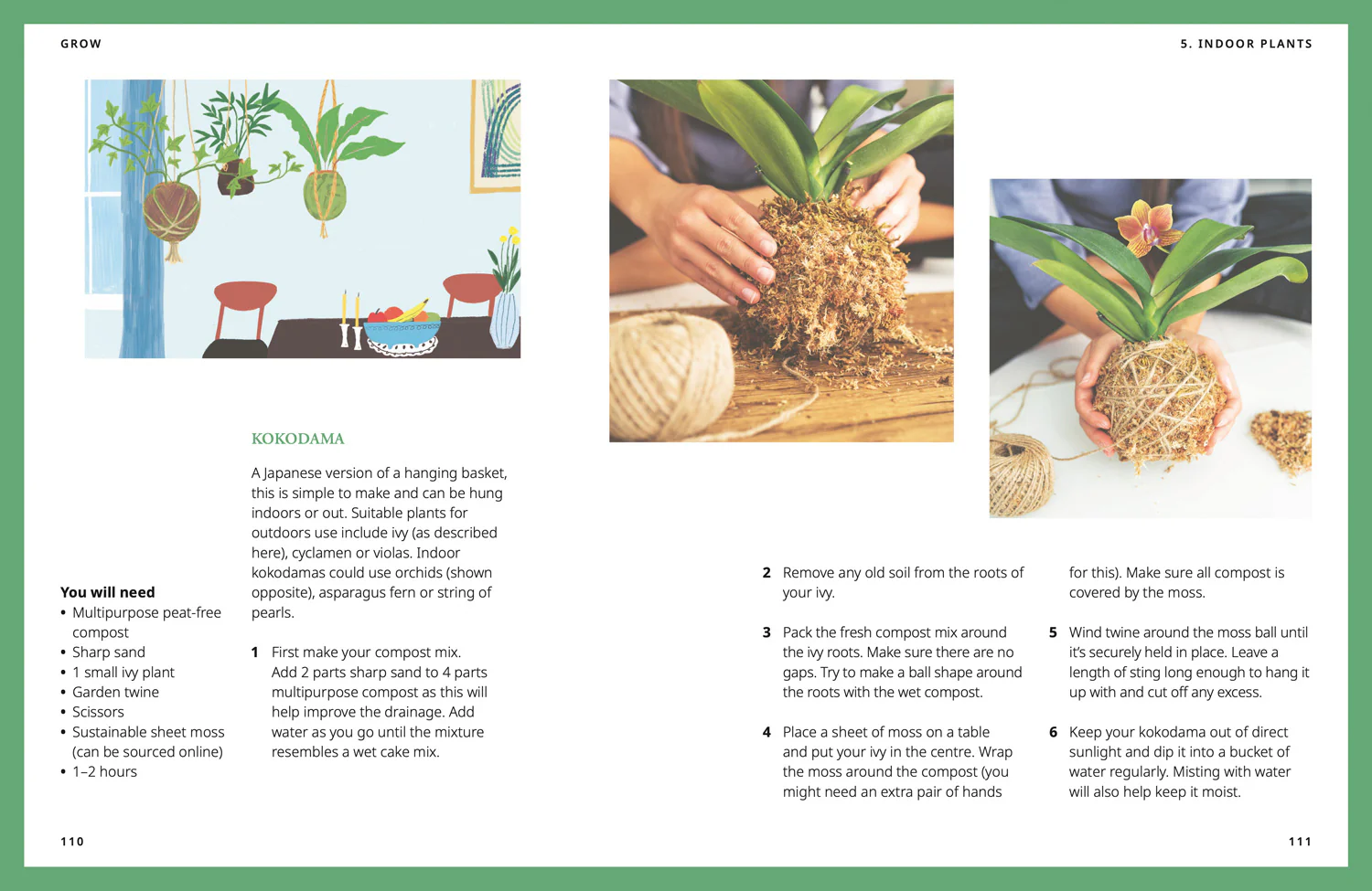 National Trust - GROW: Fill your world with plants - Image 5