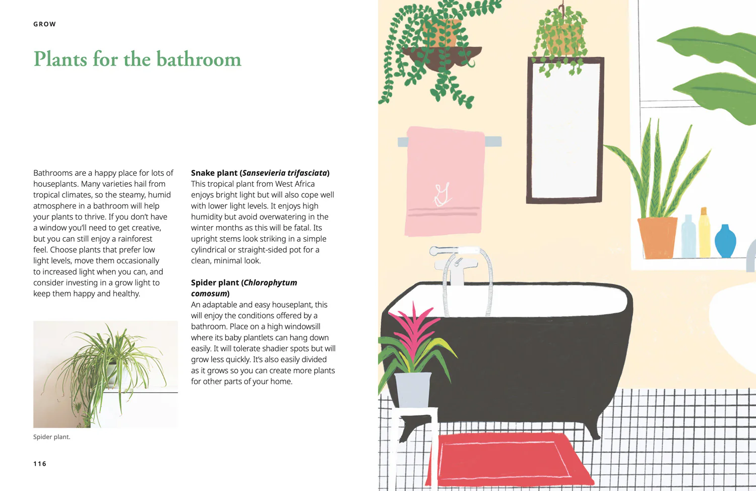 National Trust - GROW: Fill your world with plants - Image 6