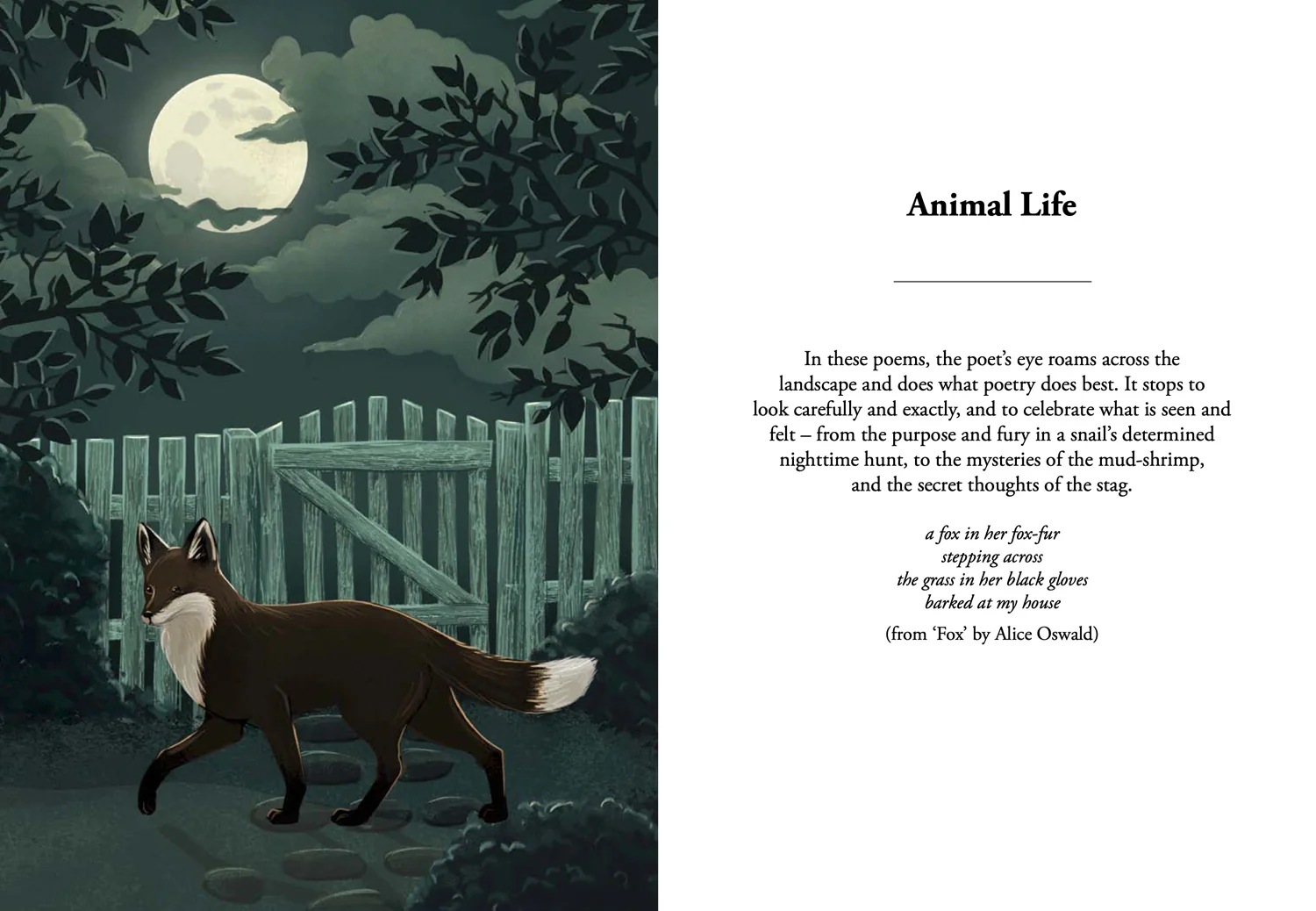 National Trust - Nature Poems: Treasured classics and new favourites - Image 3