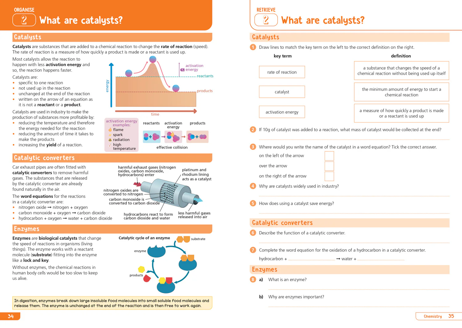 Collins KS3 Revision - KS3 Science Year 9: Organise and retrieve your knowledge: Ideal for Year 9 - Image 4
