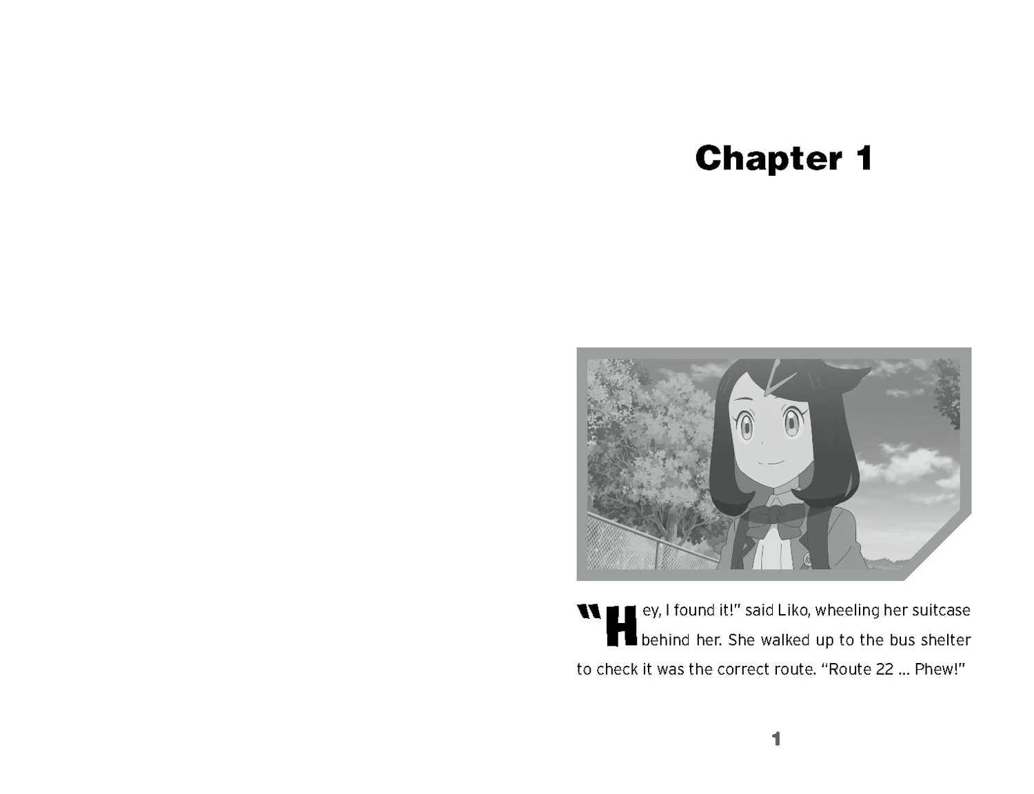 Pokémon: A Paldean Trainer Chapter Book