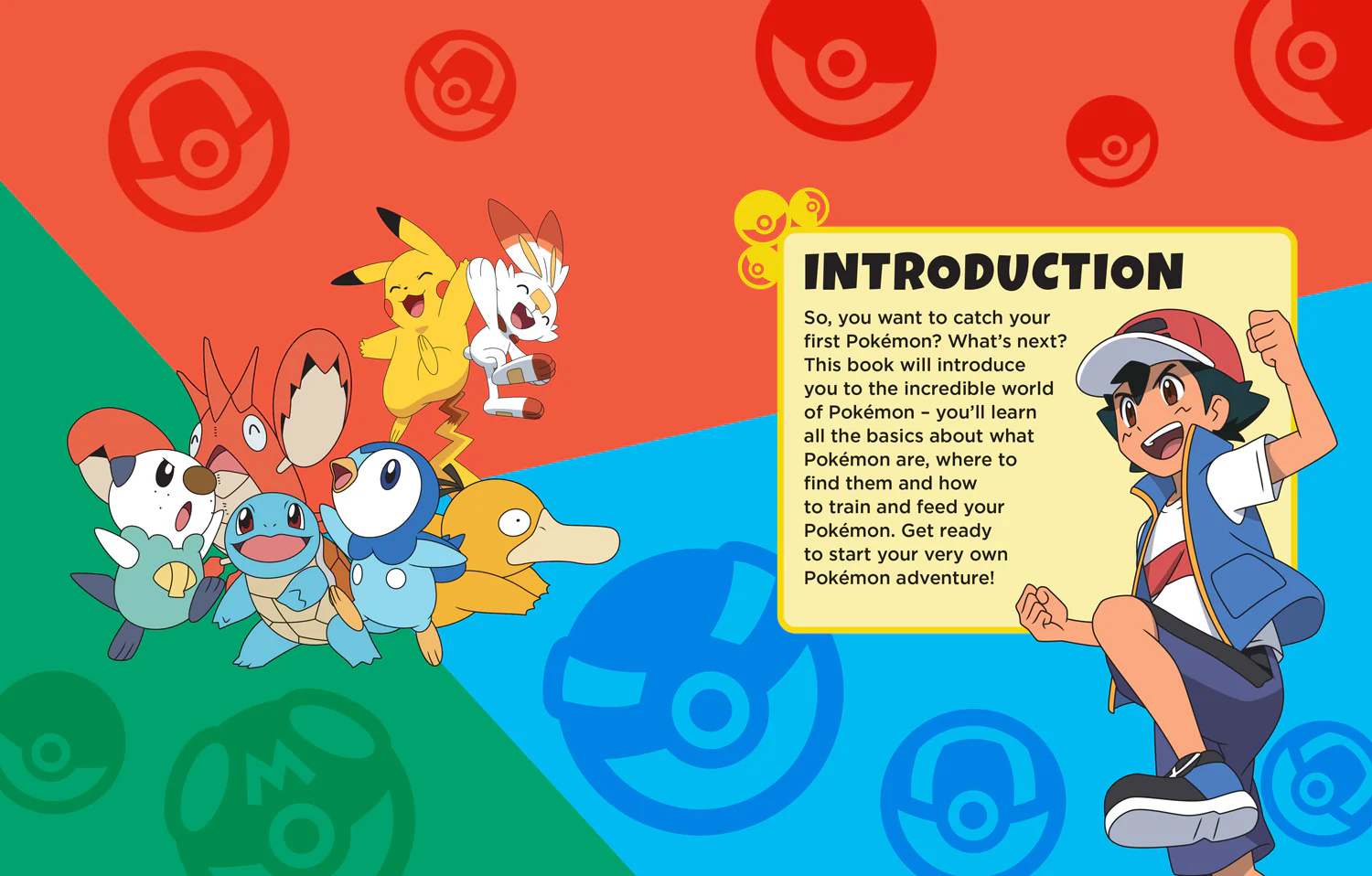 Pokémon Beginners Guide - Image 2