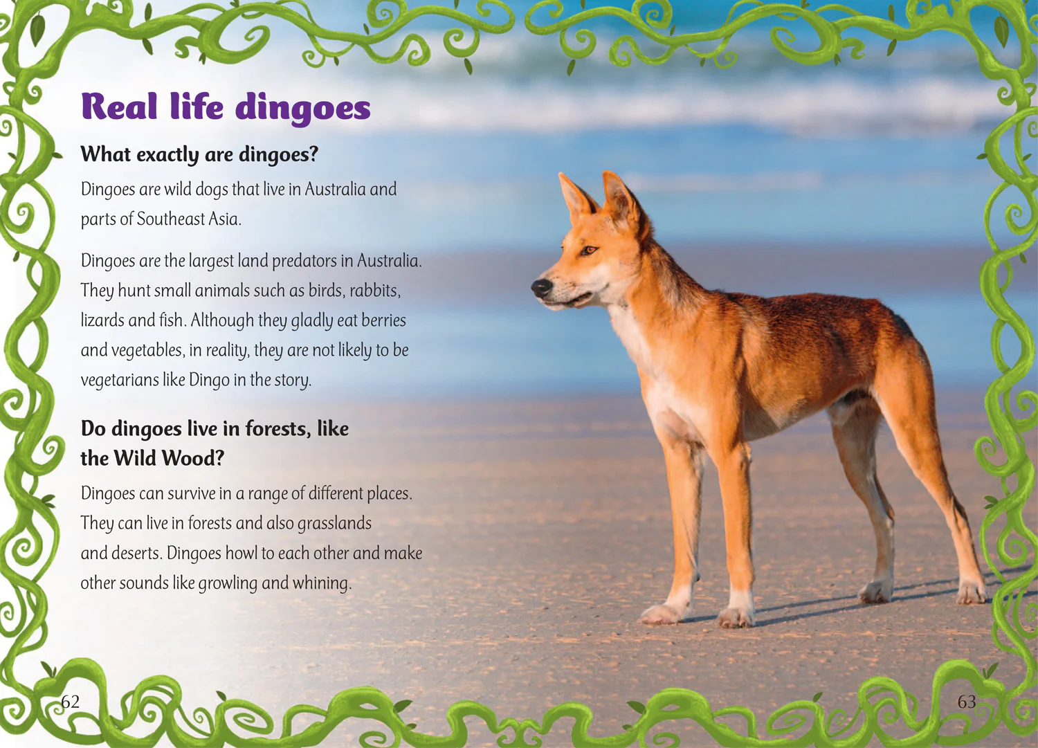 Big Cat for Little Wandle Fluency - Diary of a (Big Bad) Good Dingo: Fluency 4