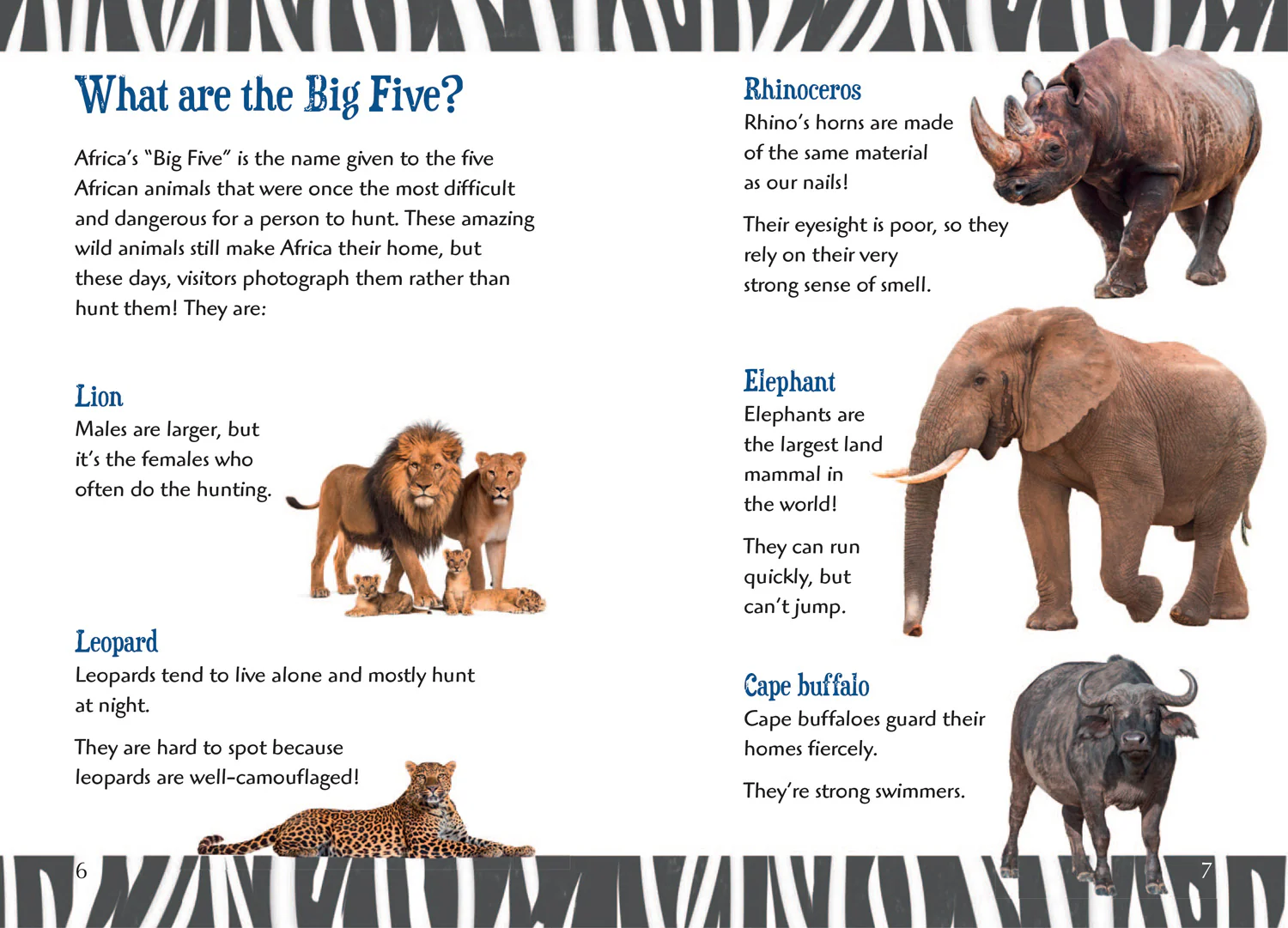 Big Cat for Little Wandle Fluency - The Big Five: Fluency 8 - Image 3
