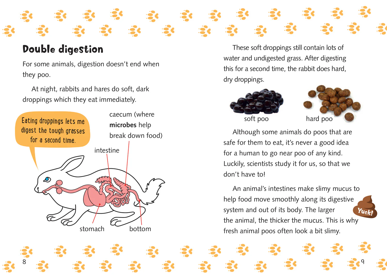 Big Cat for Little Wandle Fluency - Clues from Poos: Fluency 9