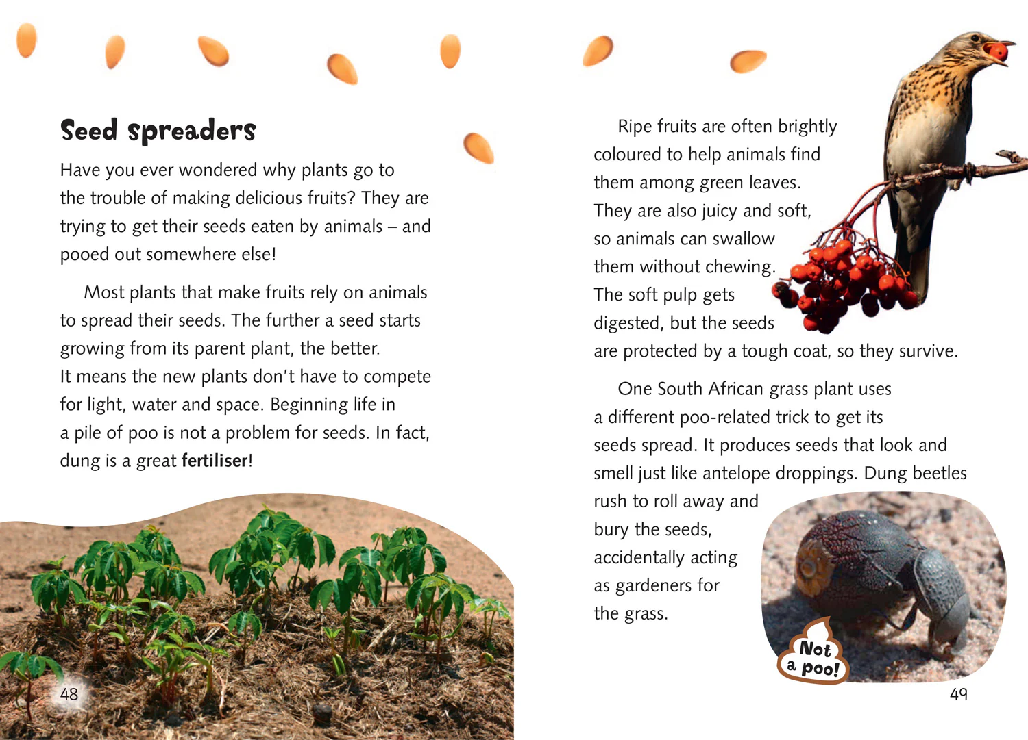 Big Cat for Little Wandle Fluency - Clues from Poos: Fluency 9 - Image 3