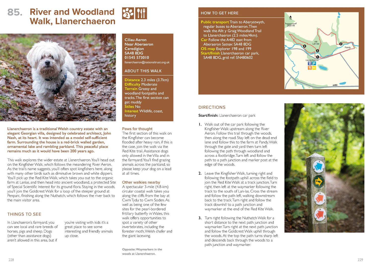 National Trust - Great British Walkies - Image 4