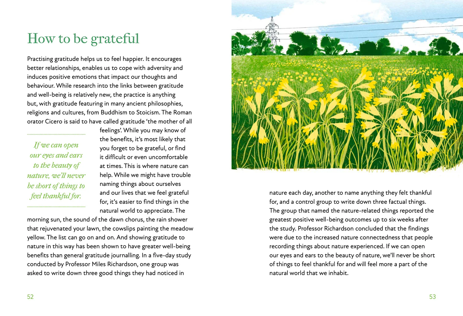National Trust - Just Add Nature: How to boost your health and happiness, wherever you live - Image 3
