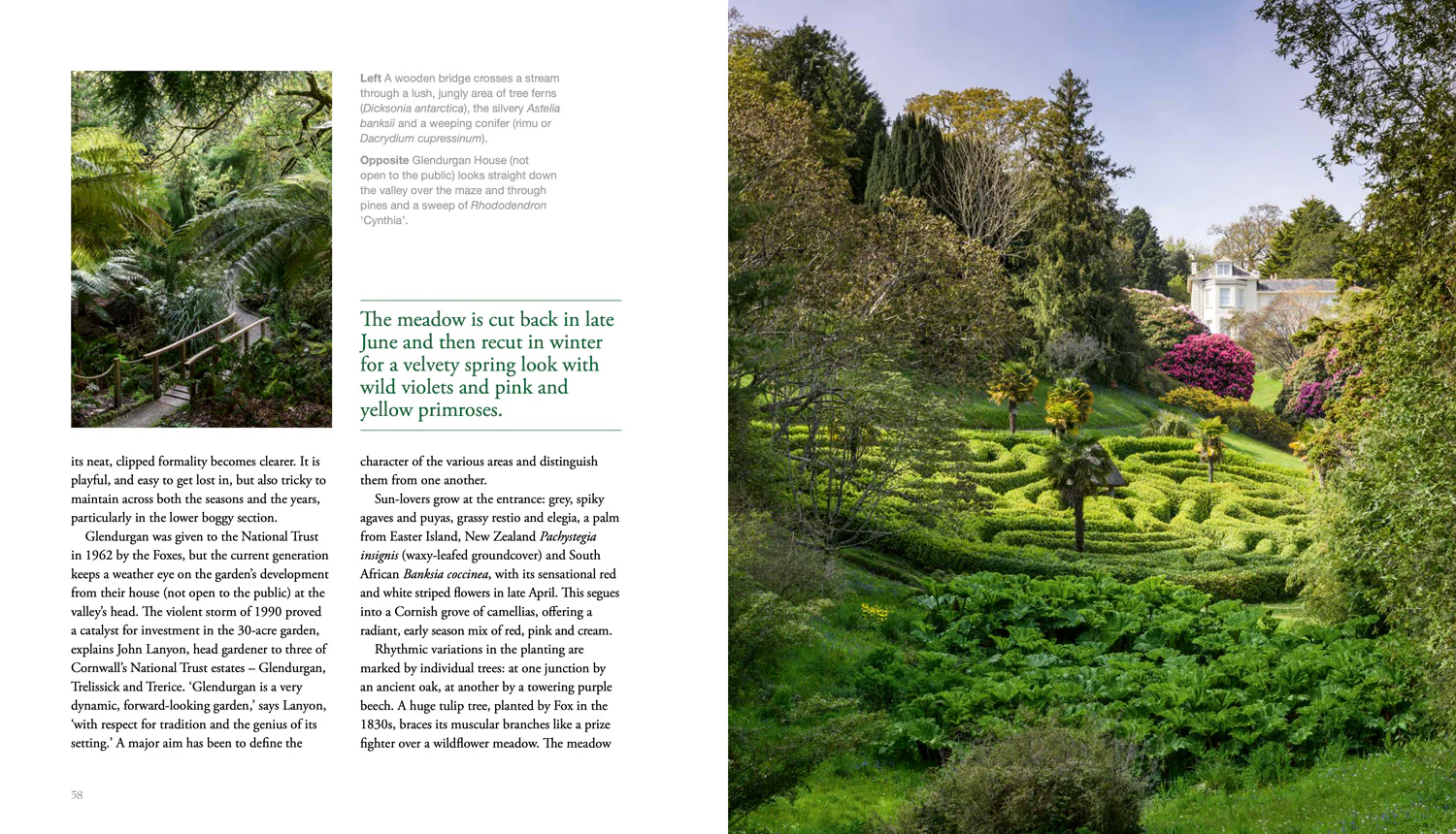 National Trust - Garden Heaven - Image 3