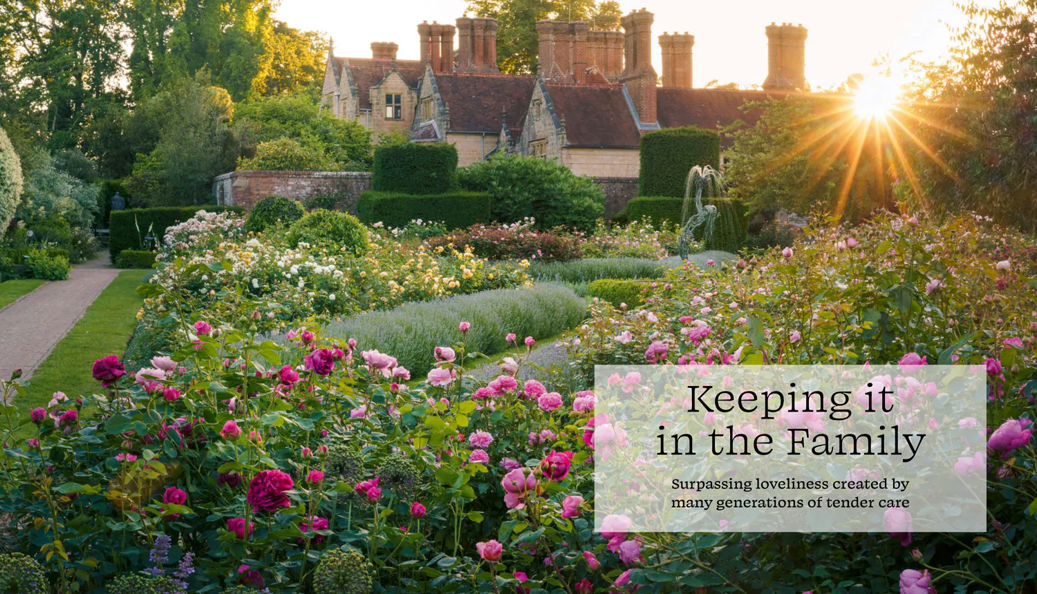 National Trust - Garden Heaven - Image 6