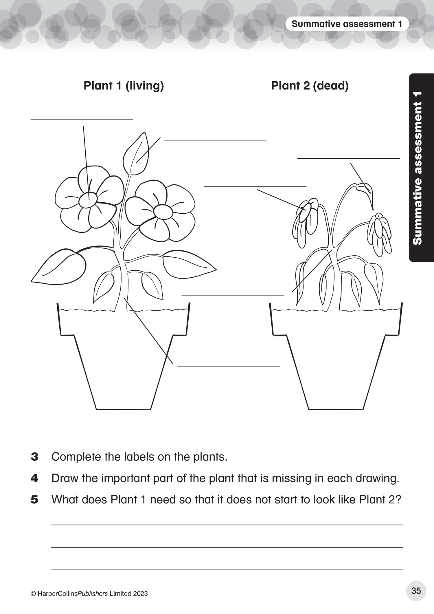 Collins International Primary Science - International Primary Science Progress Book Teacher Pack: Stage 1: (First edition) - Image 4