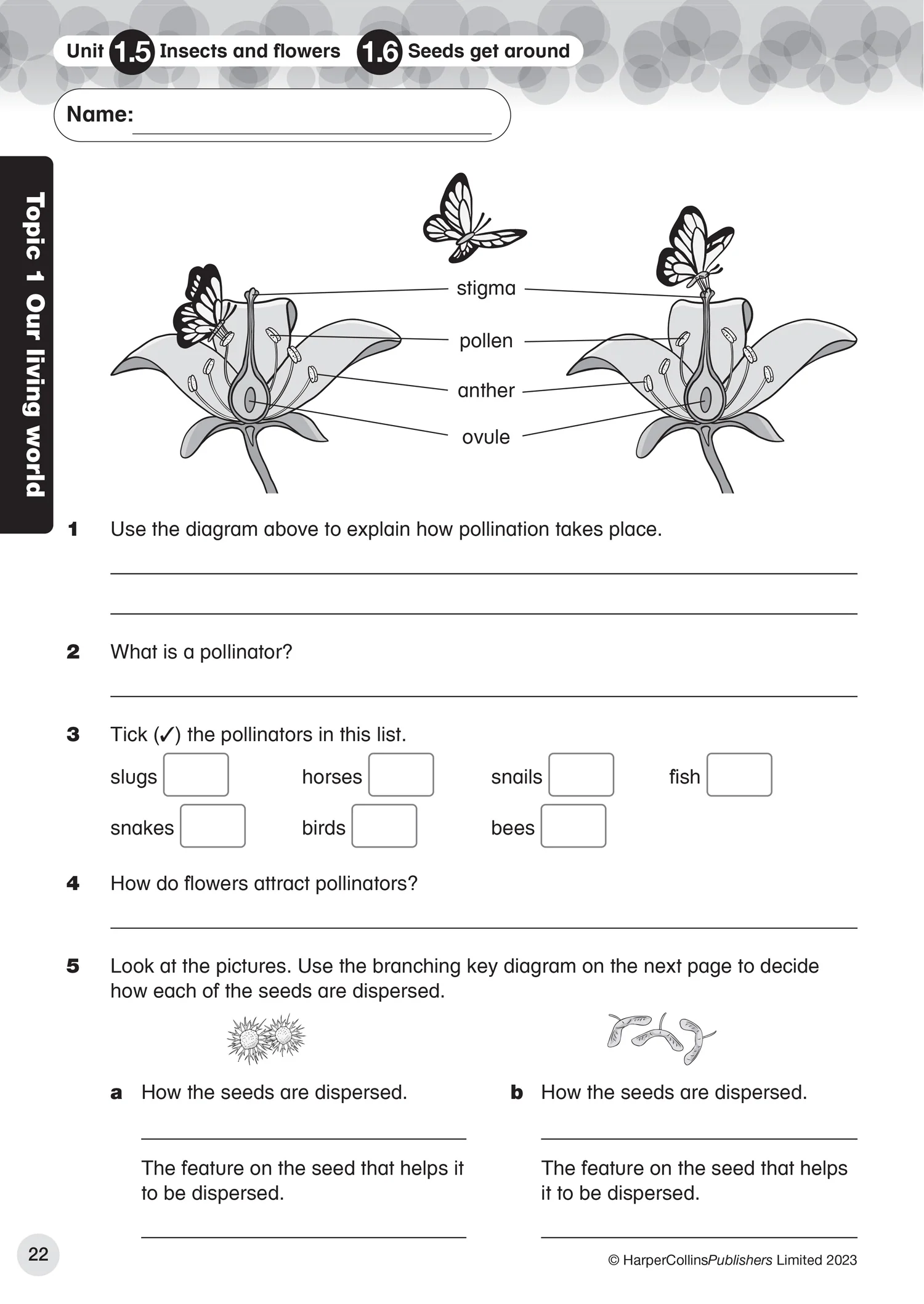 Collins International Primary Science - International Primary Science Progress Book Teacher Pack: Stage 5: (First edition)