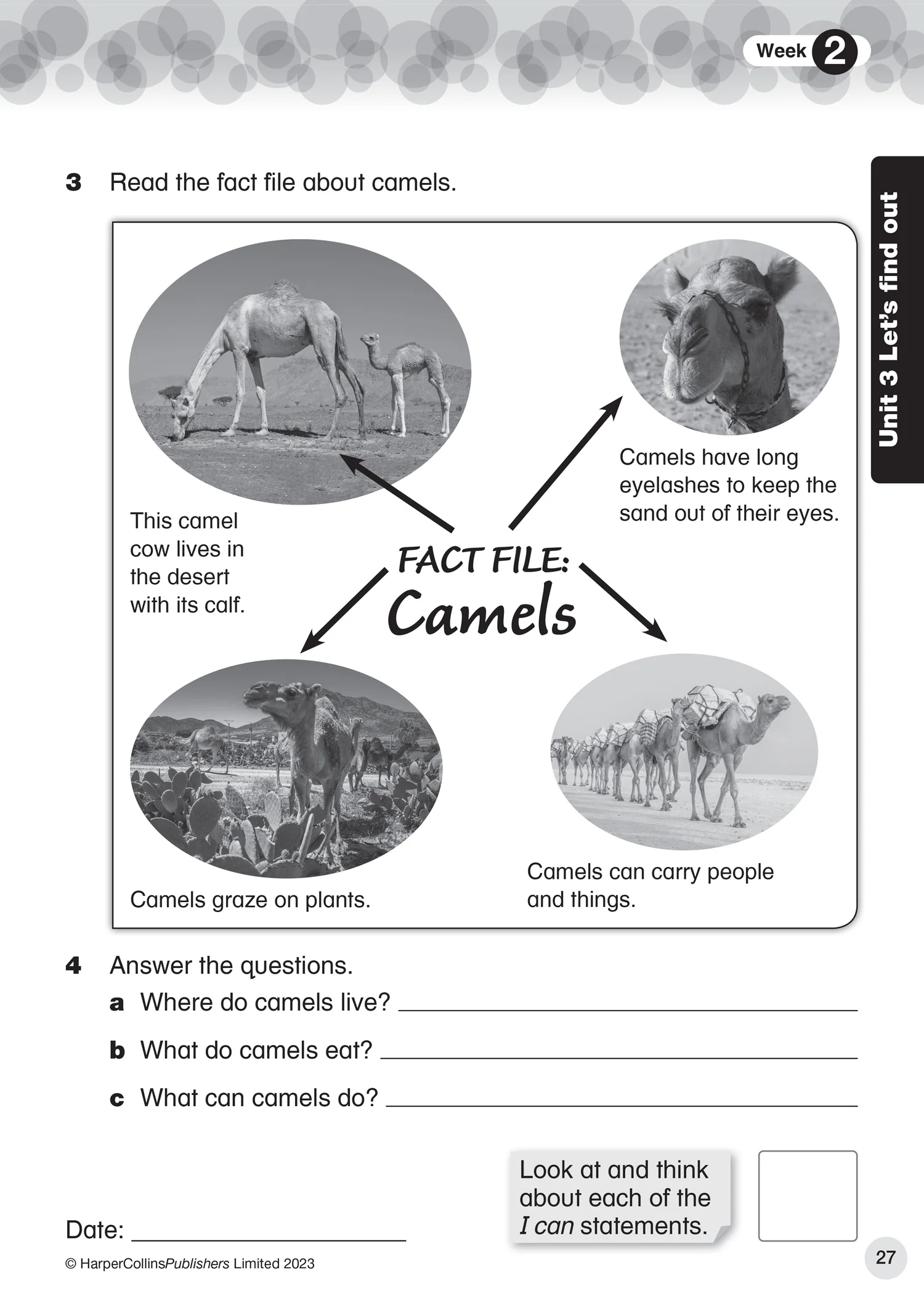 Collins International Primary English - International Primary English Progress Book Teacher Pack: Stage 1: (First edition) - Image 4