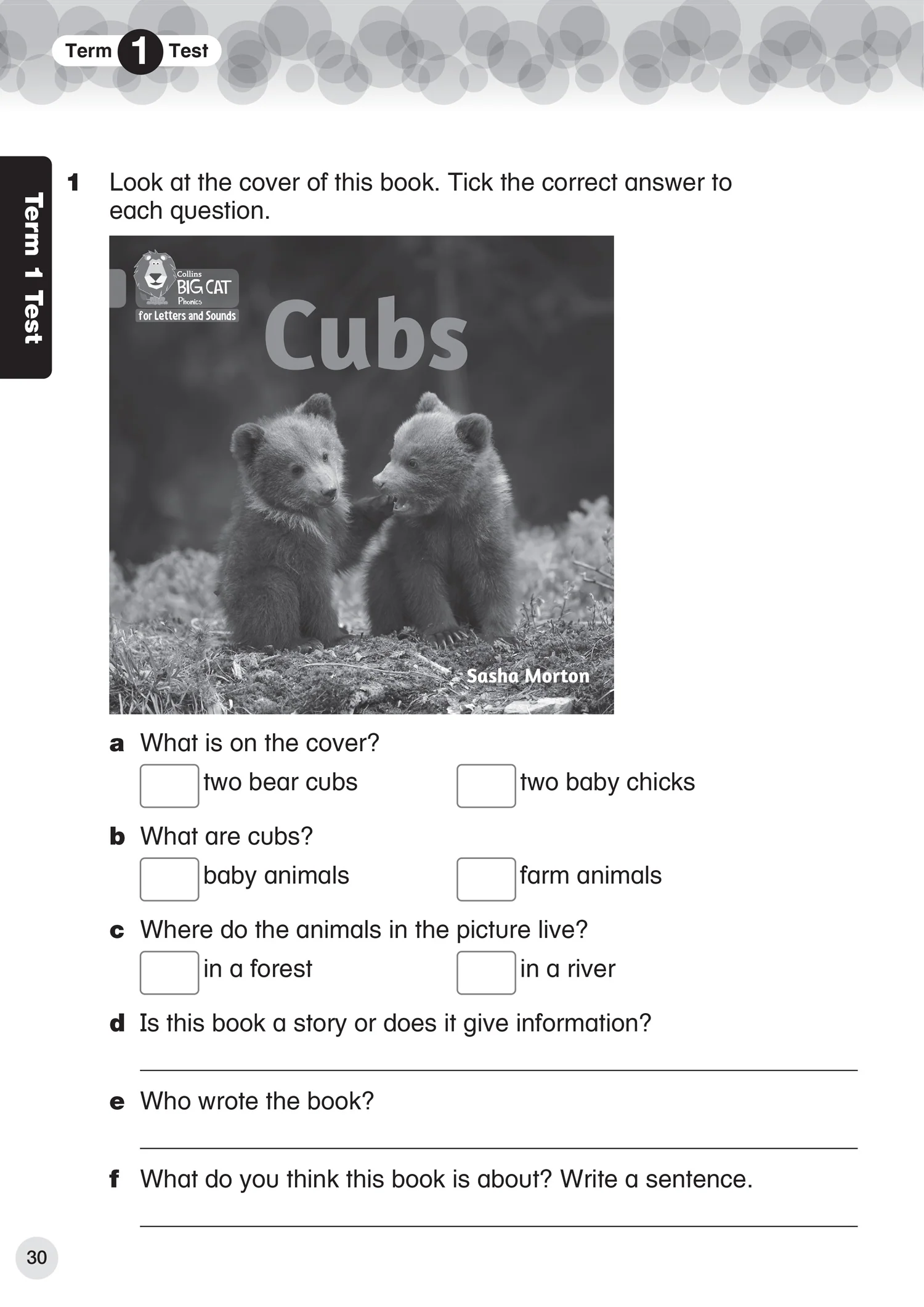 Collins International Primary English - International Primary English Progress Book Student’s Book: Stage 1: (First edition) - Image 4