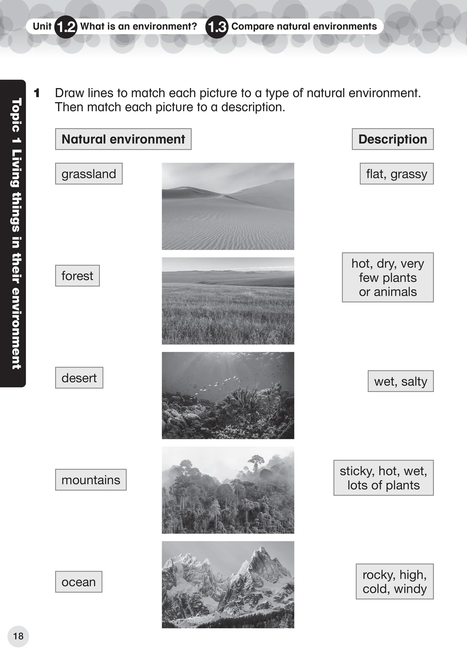 Collins International Primary Science - International Primary Science Progress Book Student’s Book: Stage 2: (First edition)