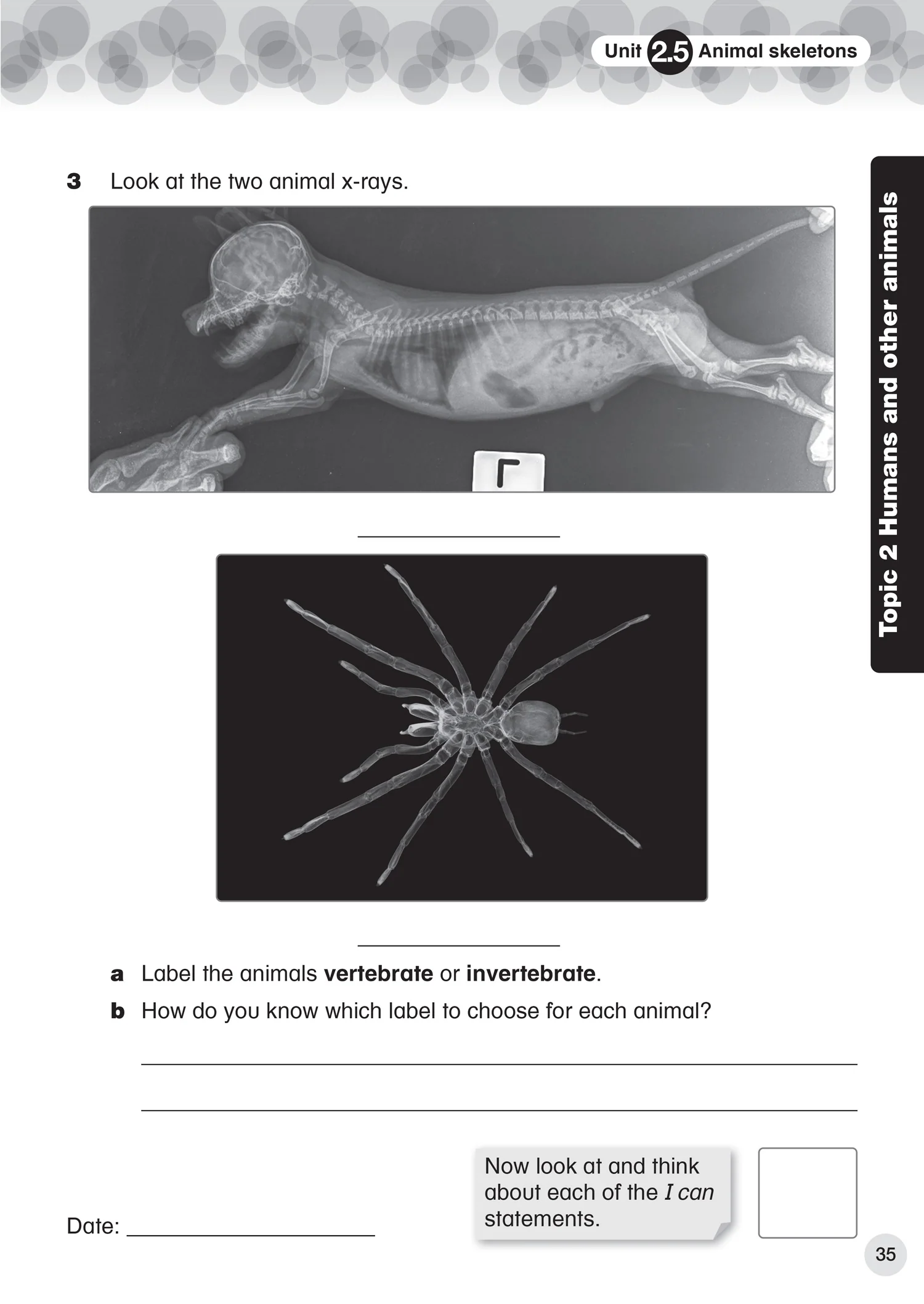 Collins International Primary Science - International Primary Science Progress Book Student’s Book: Stage 4: (First edition)