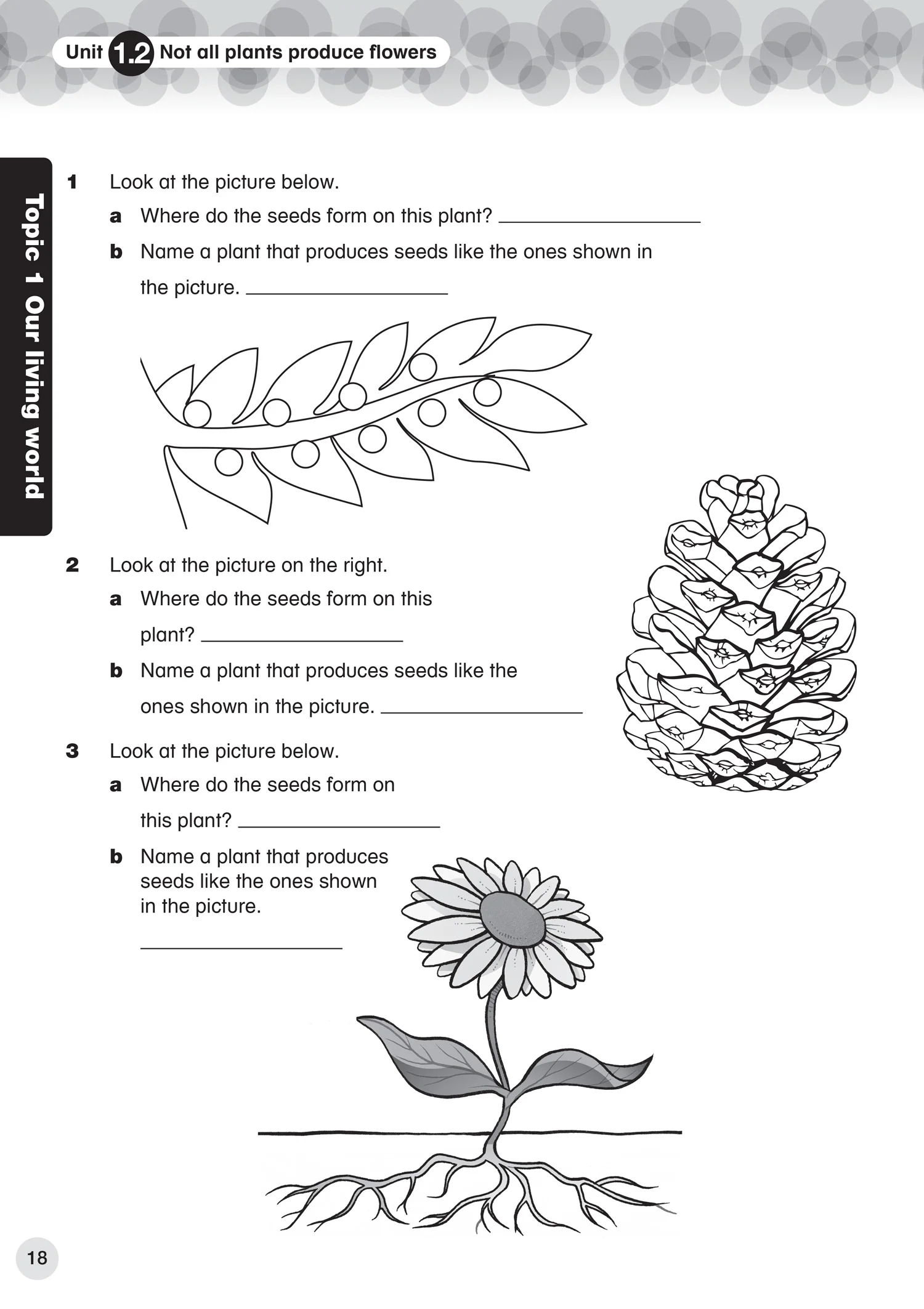 Collins International Primary Science - International Primary Science Progress Book Student’s Book: Stage 5: (First edition)