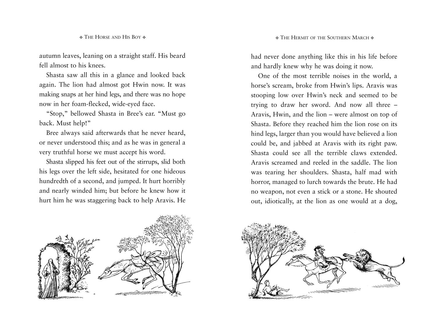 The Chronicles of Narnia - The Horse and His Boy - Image 4
