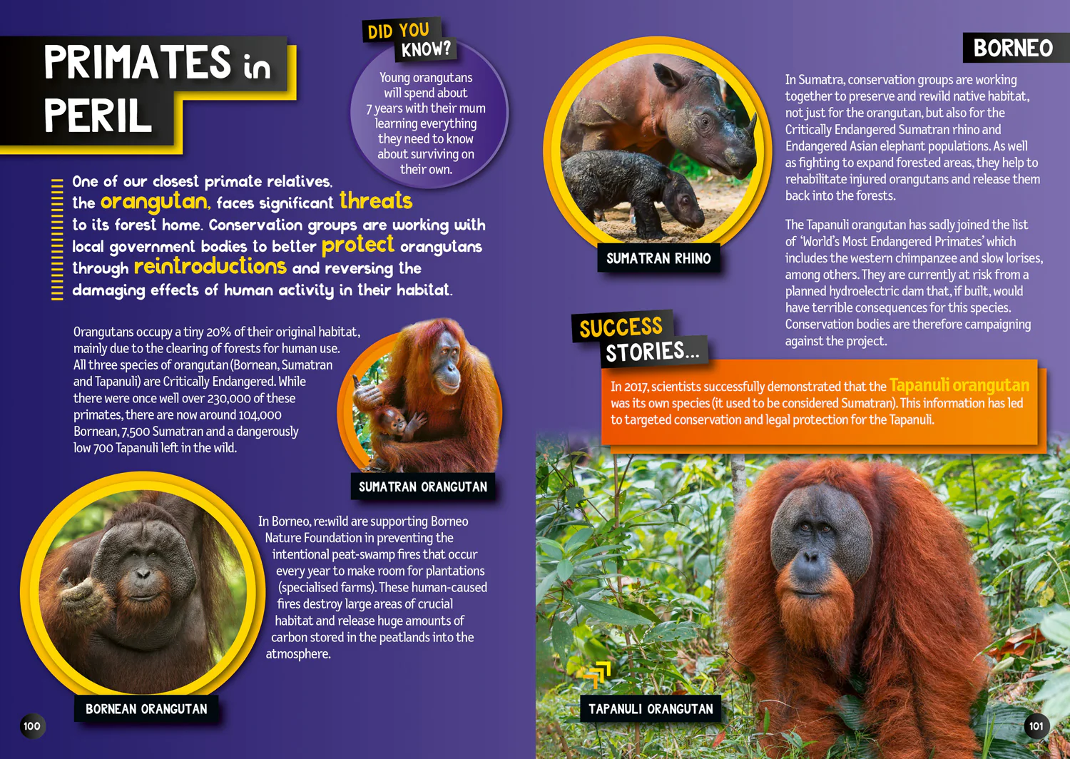 National Geographic Kids - Wilder Planet: 50 inspiring rewilding projects - Image 5