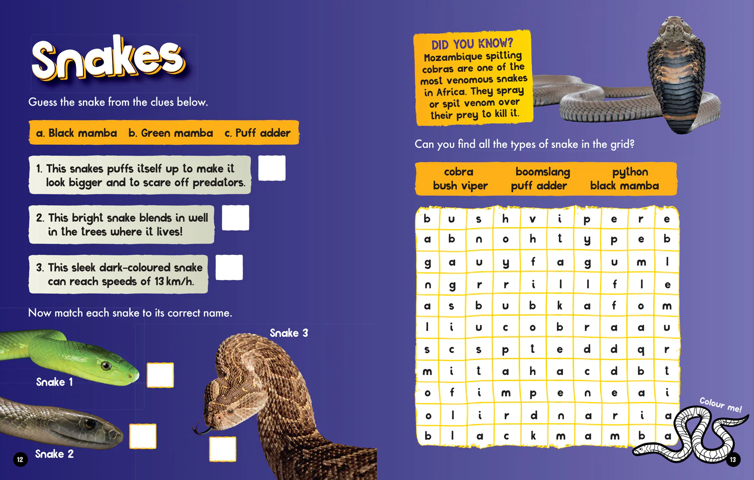 National Geographic Kids - Safari Activity and Colouring Book - Image 3
