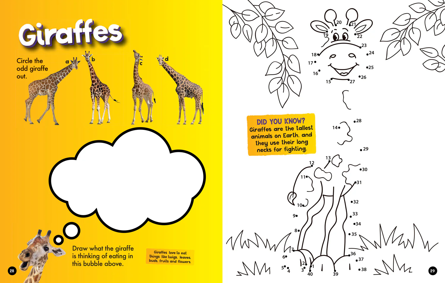 National Geographic Kids - Safari Activity and Colouring Book - Image 4