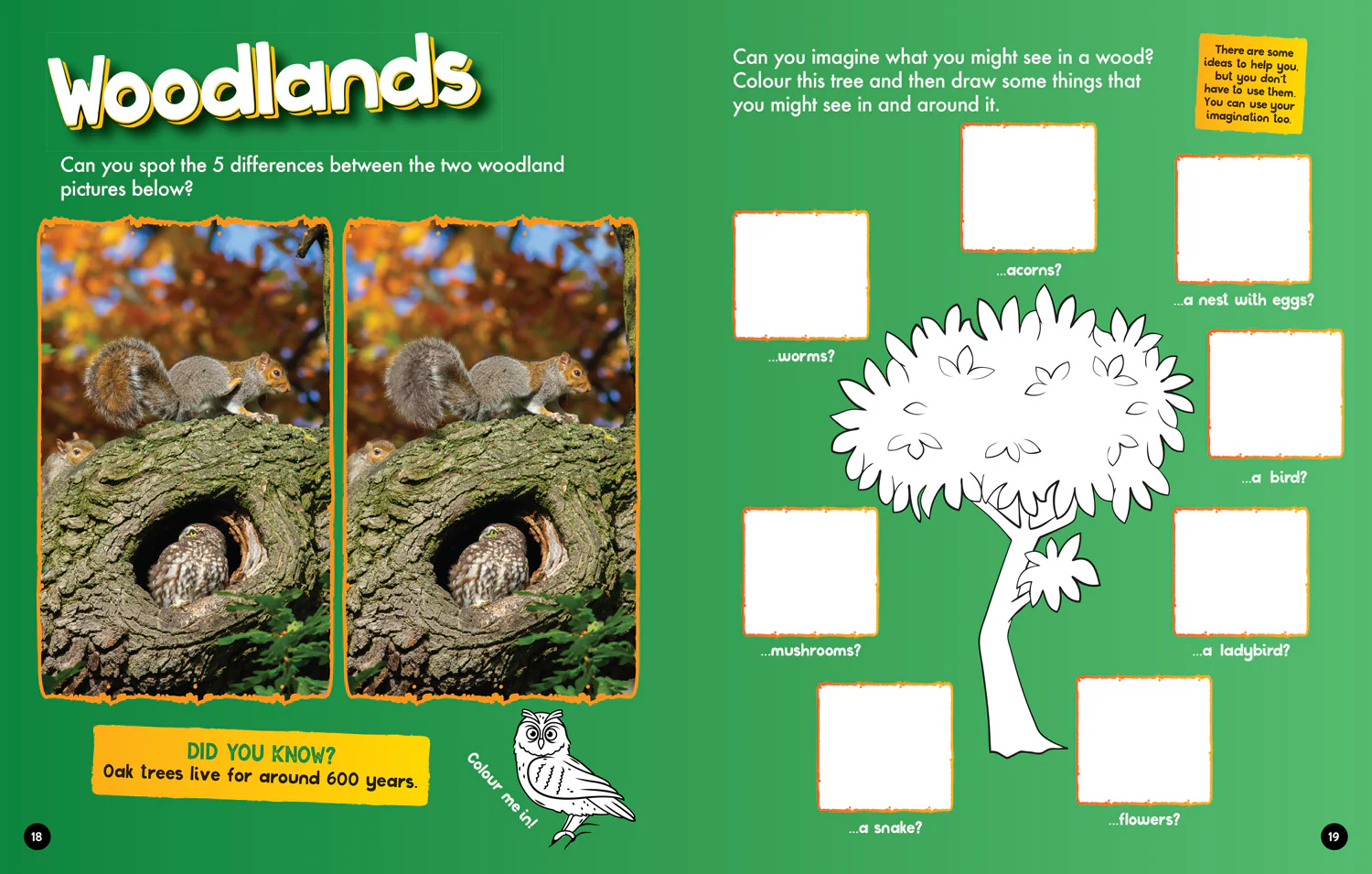 National Geographic Kids - Planet Earth Activity and Colouring Book - Image 3