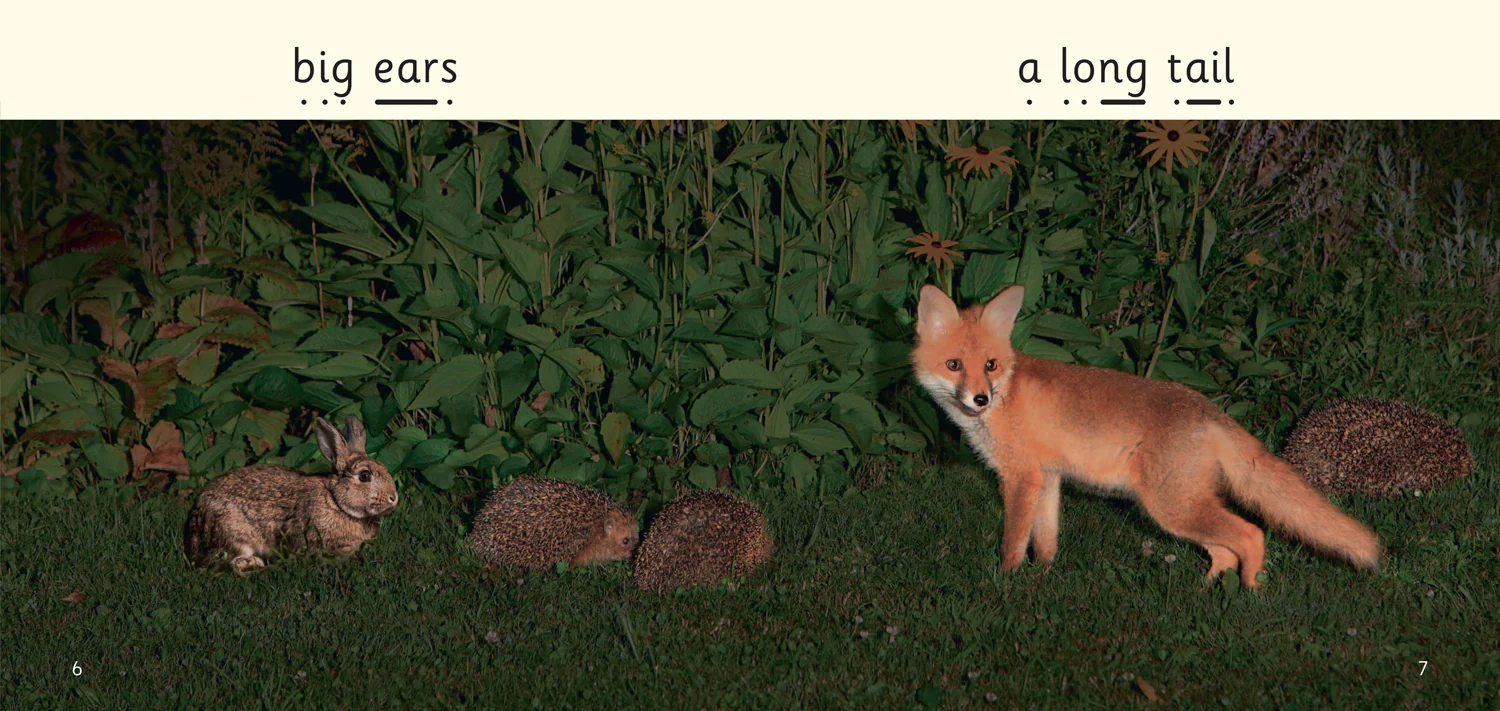 Big Cat Phonics for Little Wandle Letters and Sounds Revised - At Night: Phase 3 Set 1 Blending practice - Image 3