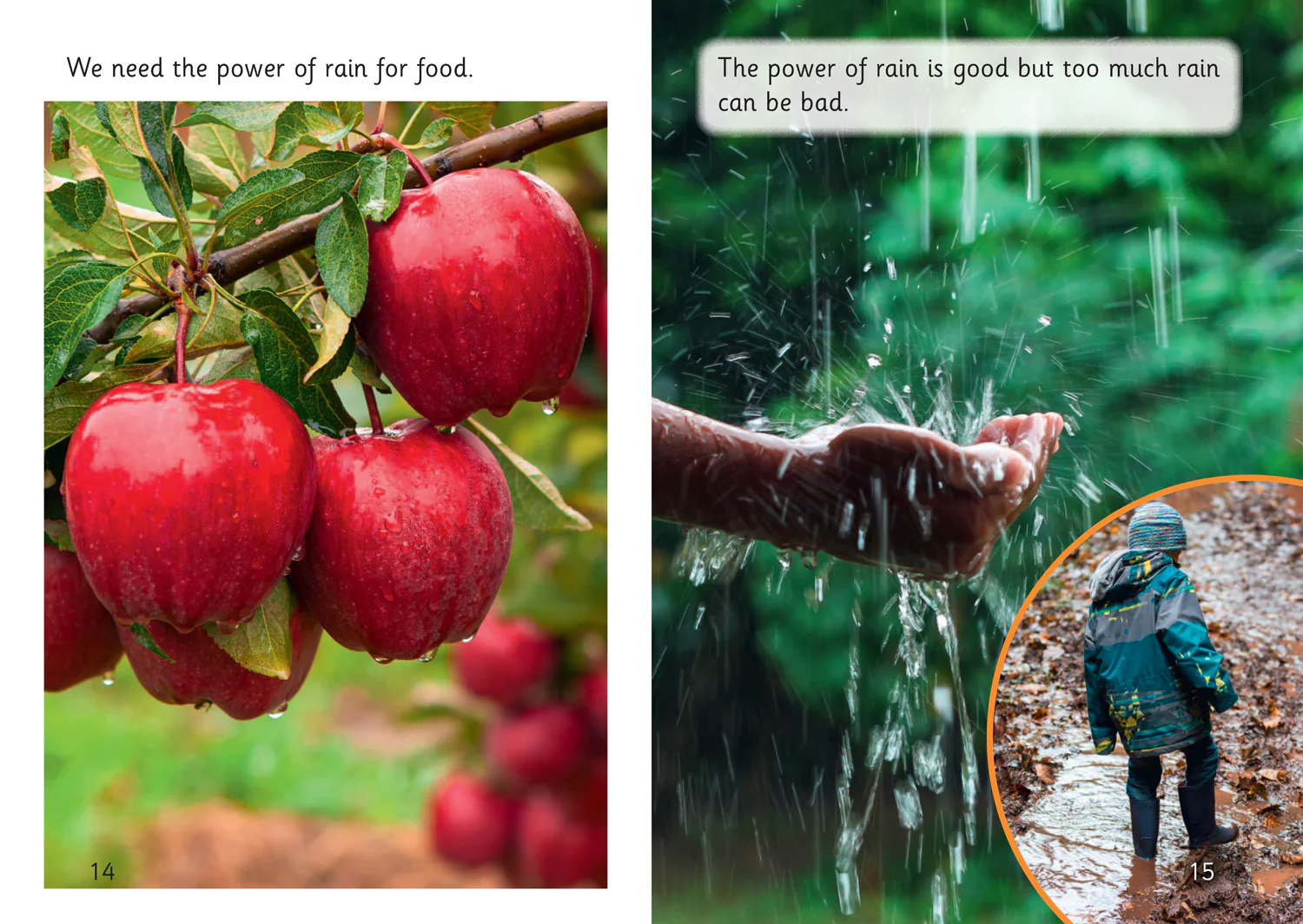 Big Cat Phonics for Little Wandle Letters and Sounds Revised – Age 7+ - The Power of Rain: Phase 3 Set 2 - Image 3